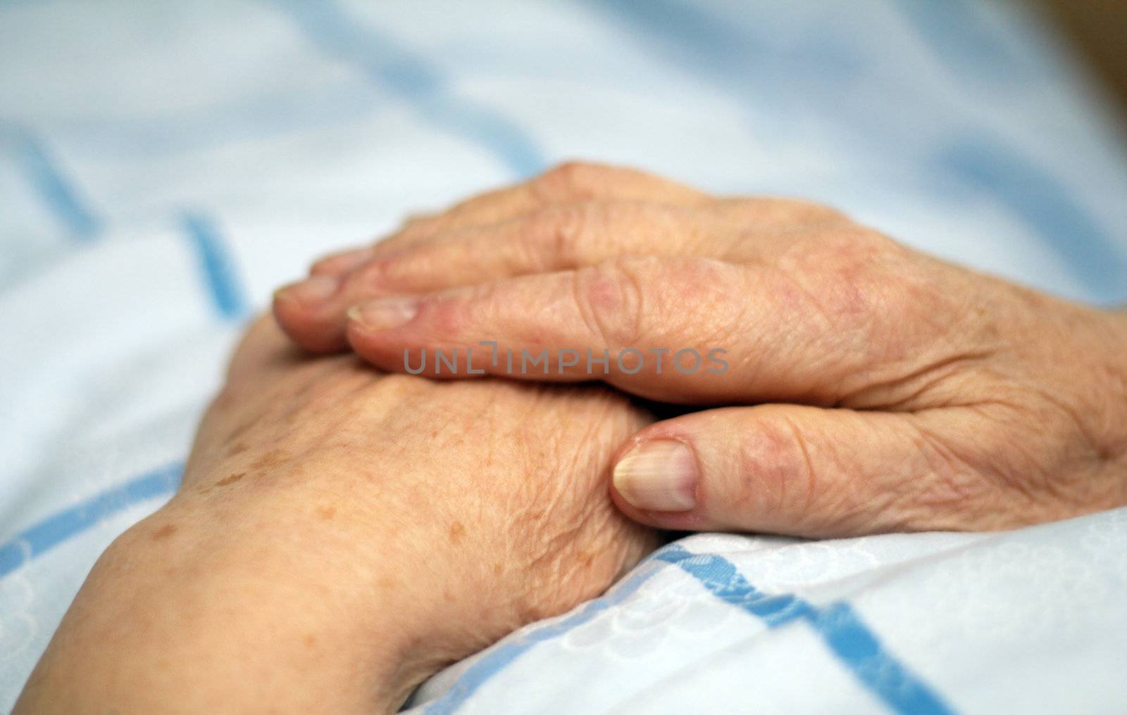 Old wrinkled hands of an elderly person.