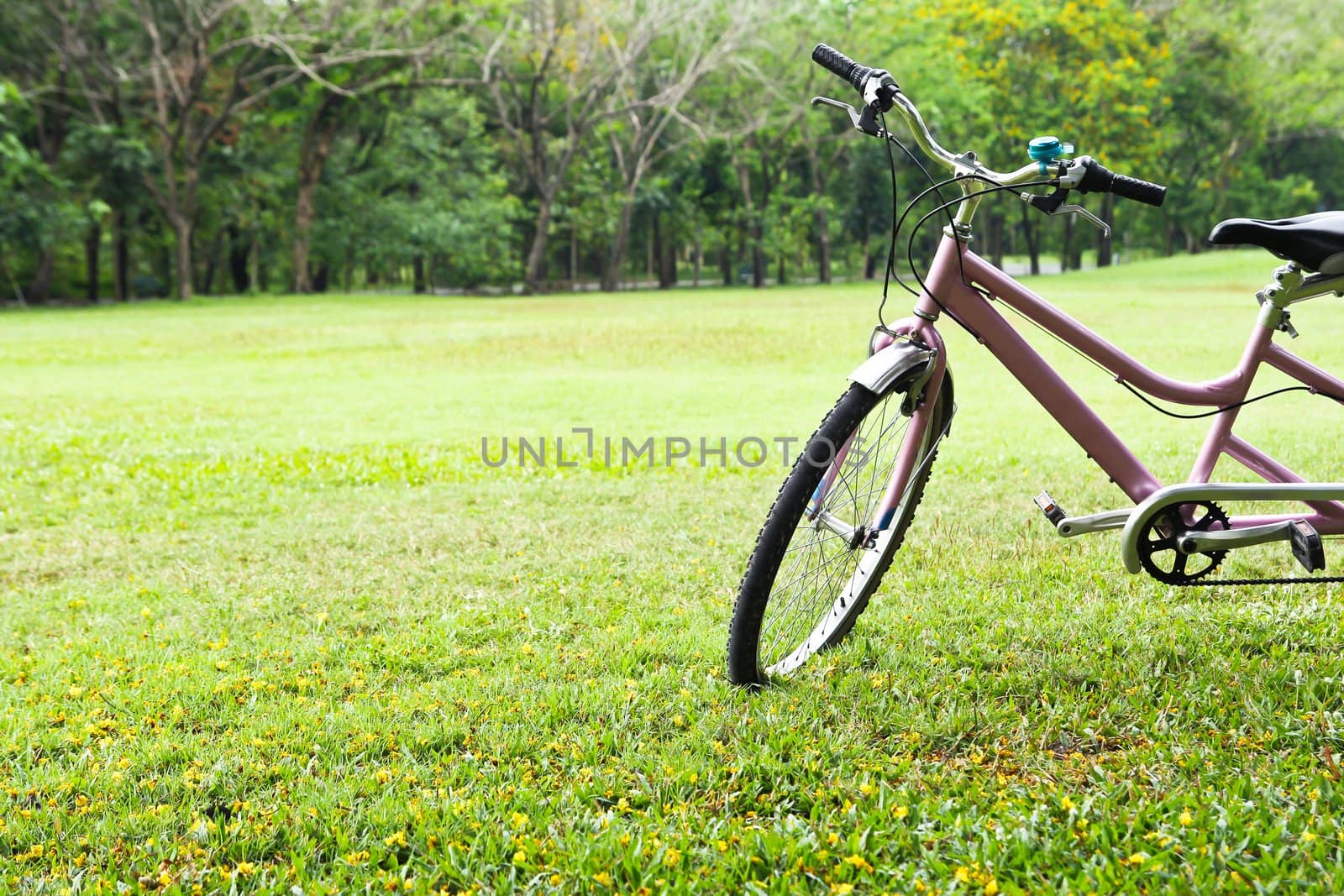 Bicycle in the park by Myimagine