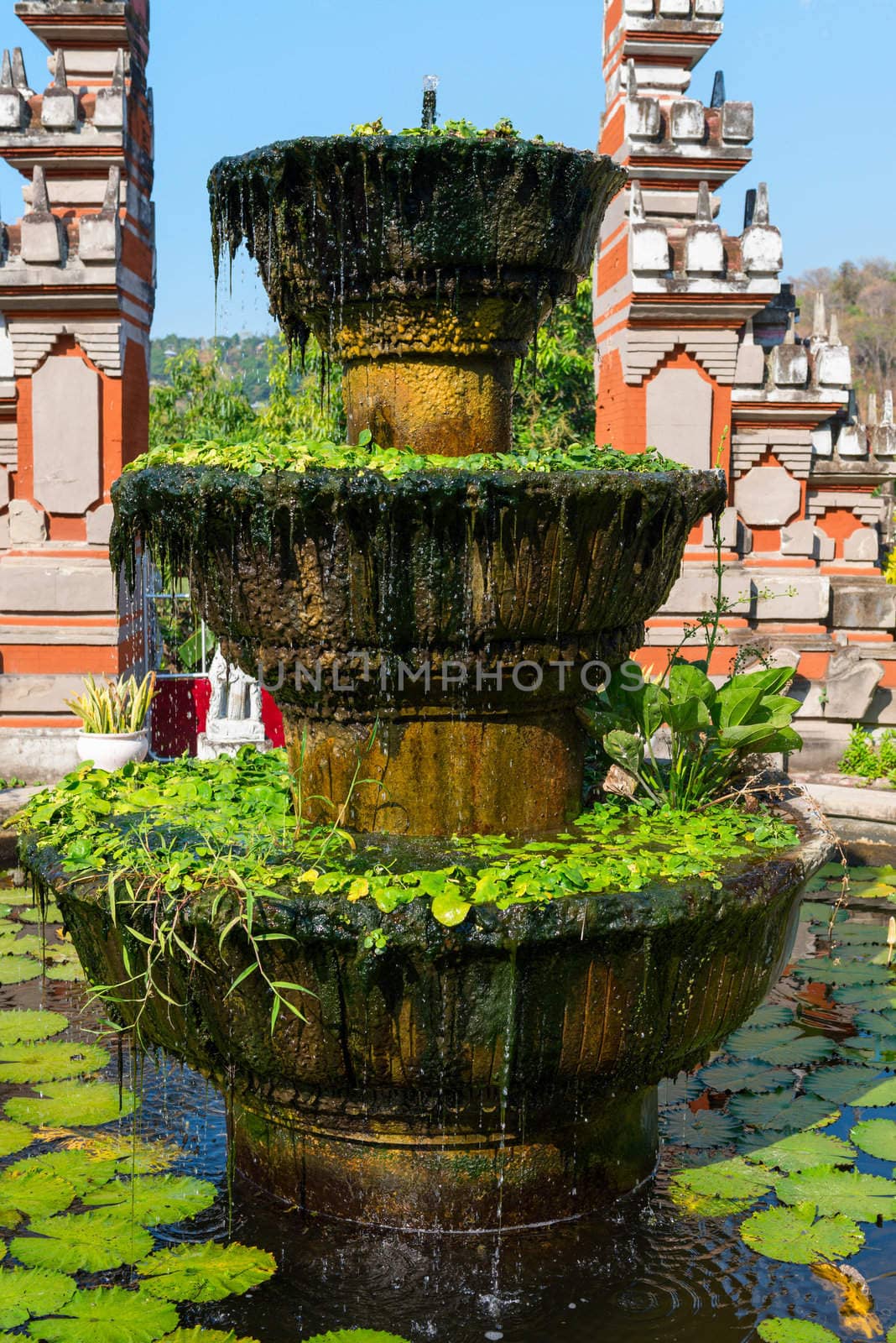 Old stone fountain with flowing water and green plants, Balinese style