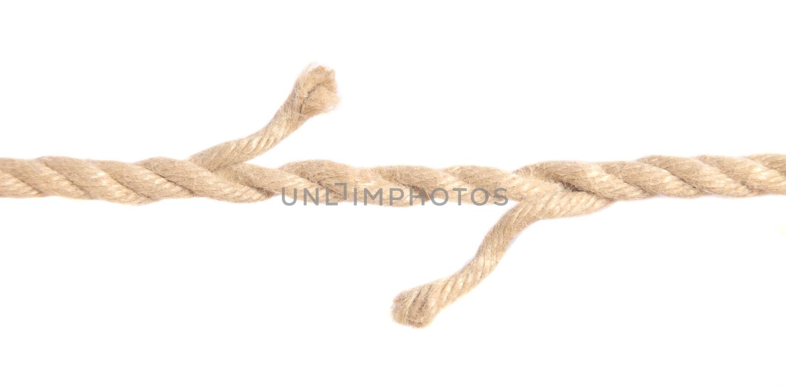 Hemp rope right before ripping apart. All on white background.