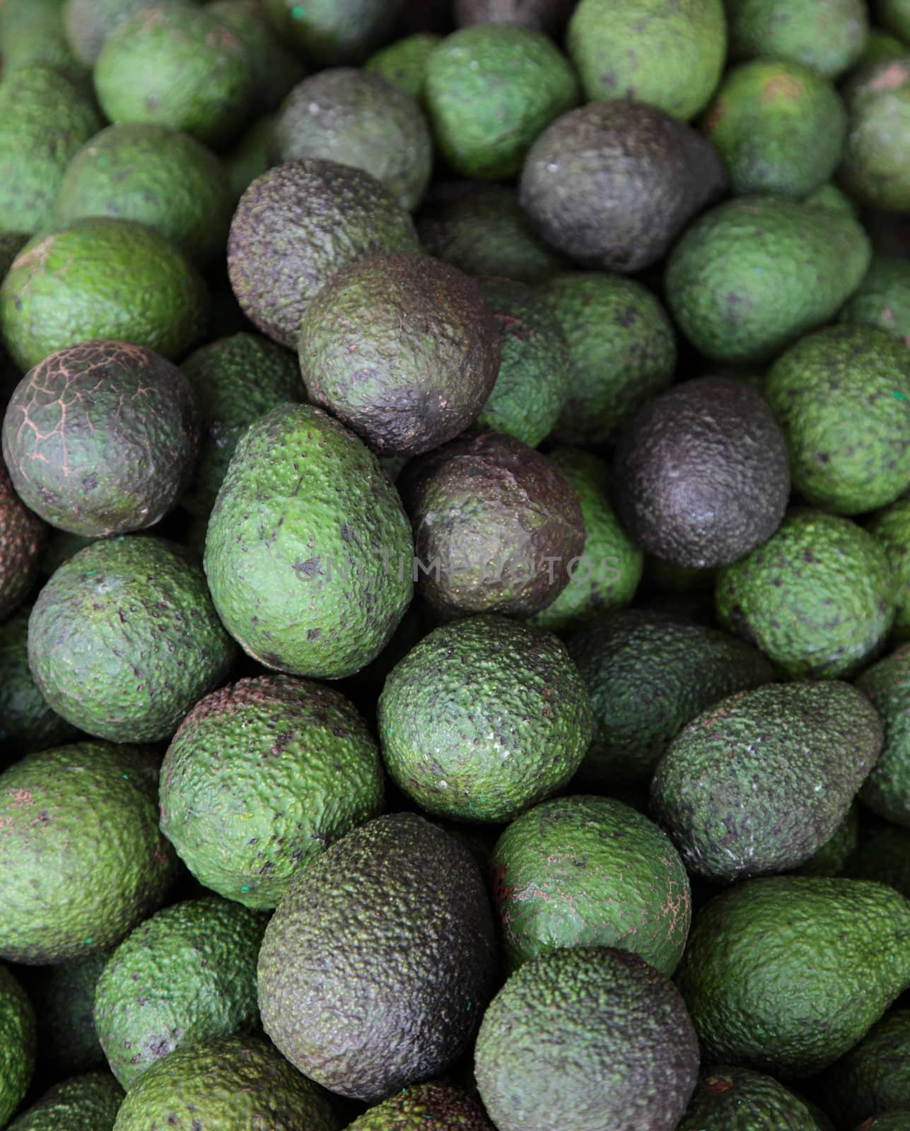 Market stall offering avocados.