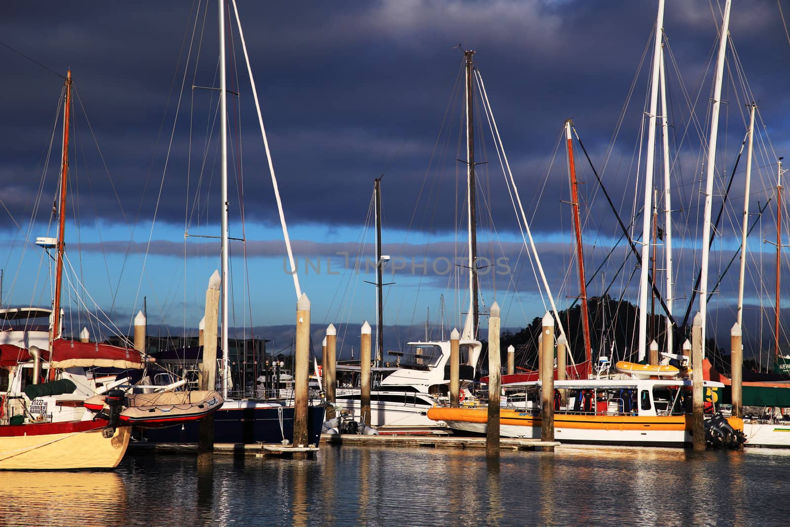 Marina with many sailboats