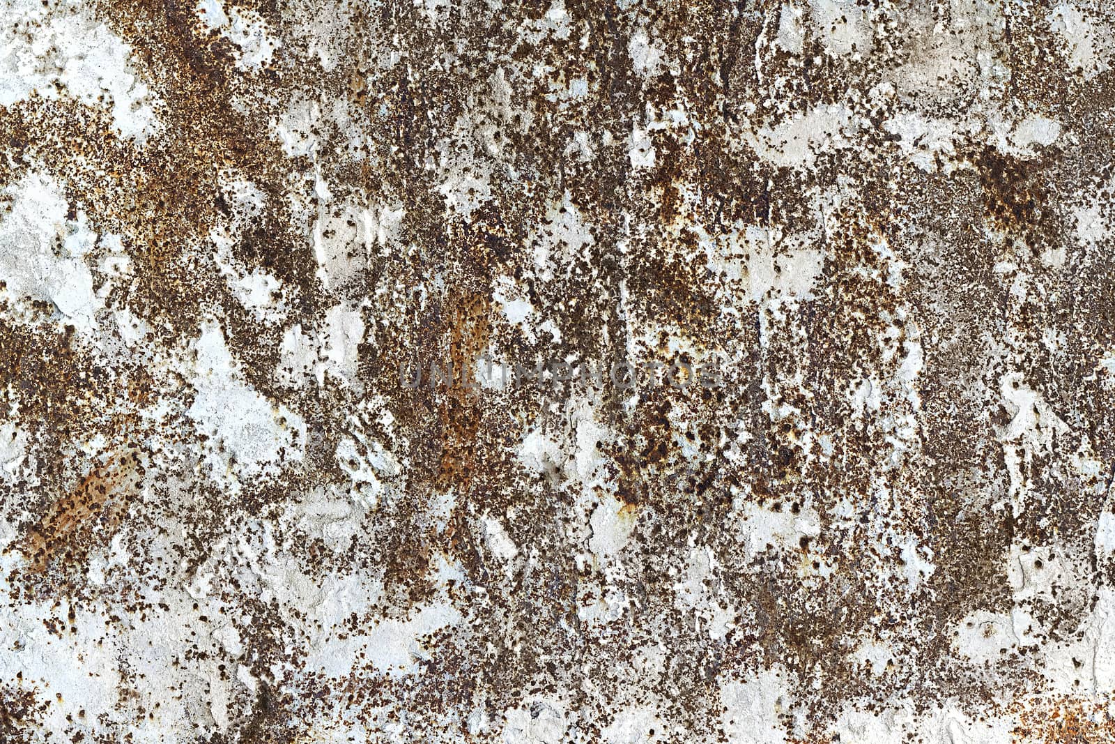 old rusty iron sheet with spots of dried cement by Plus69