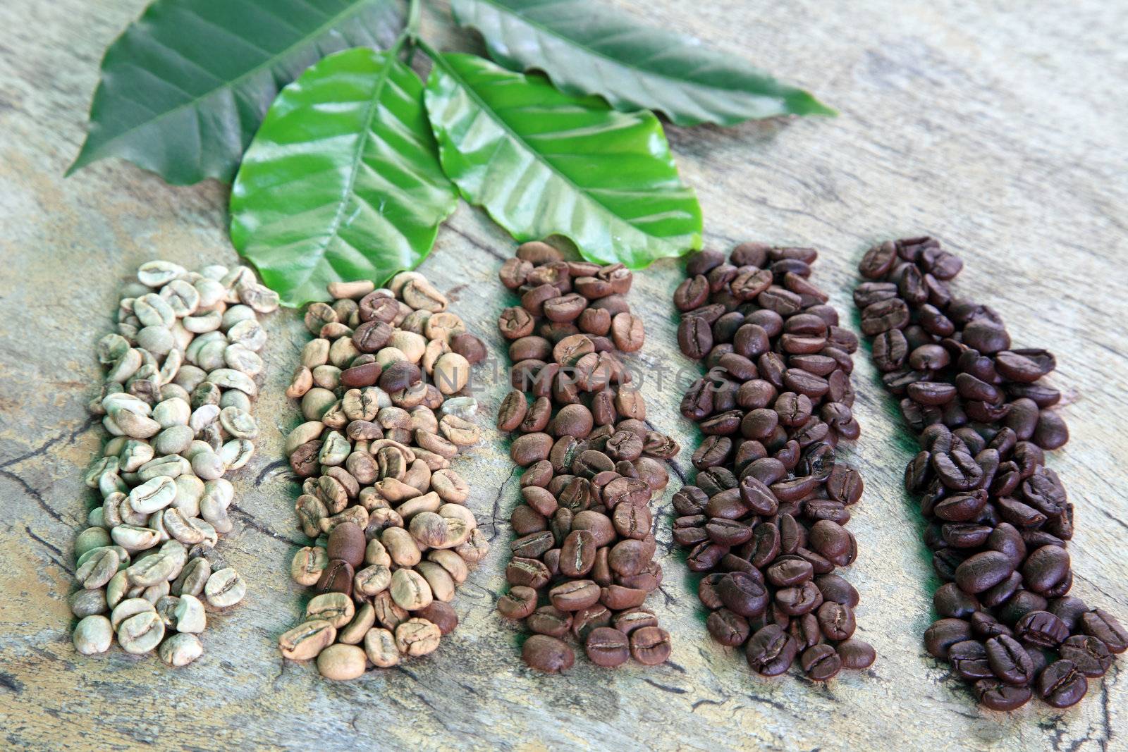 Coffee beans in different roast levels on rustic wooden board.