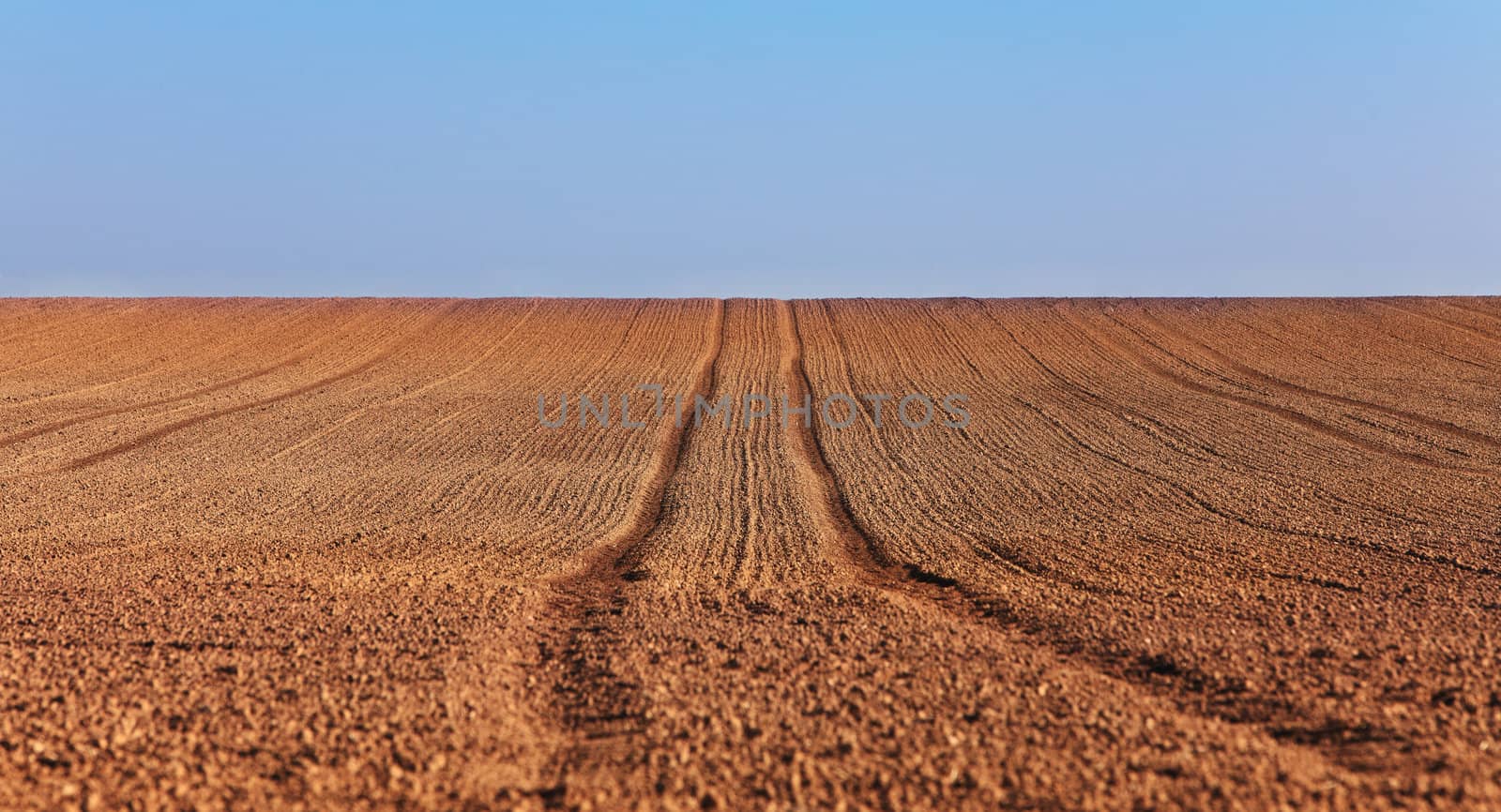 Tracks of a tractor in a bare field in spring.