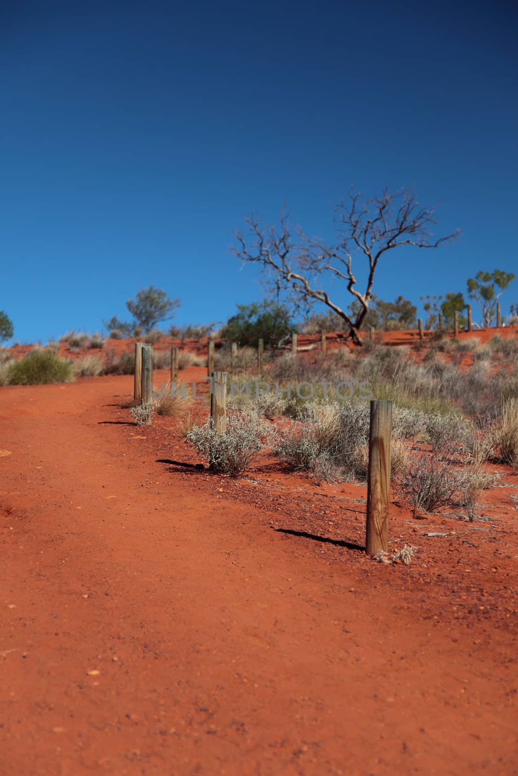 Central Australian desert.