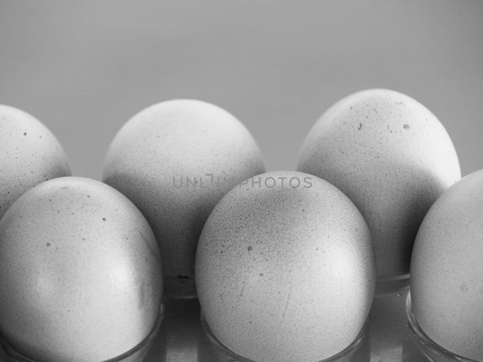 Eggs by lauria