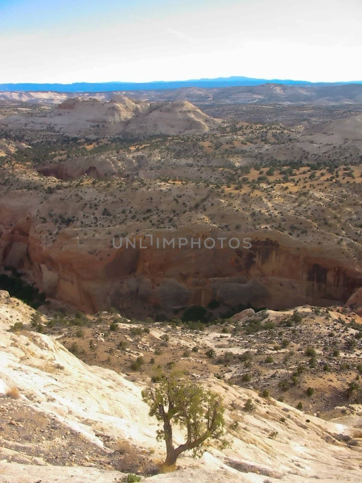 Red Canyon near Zion NP in Utah