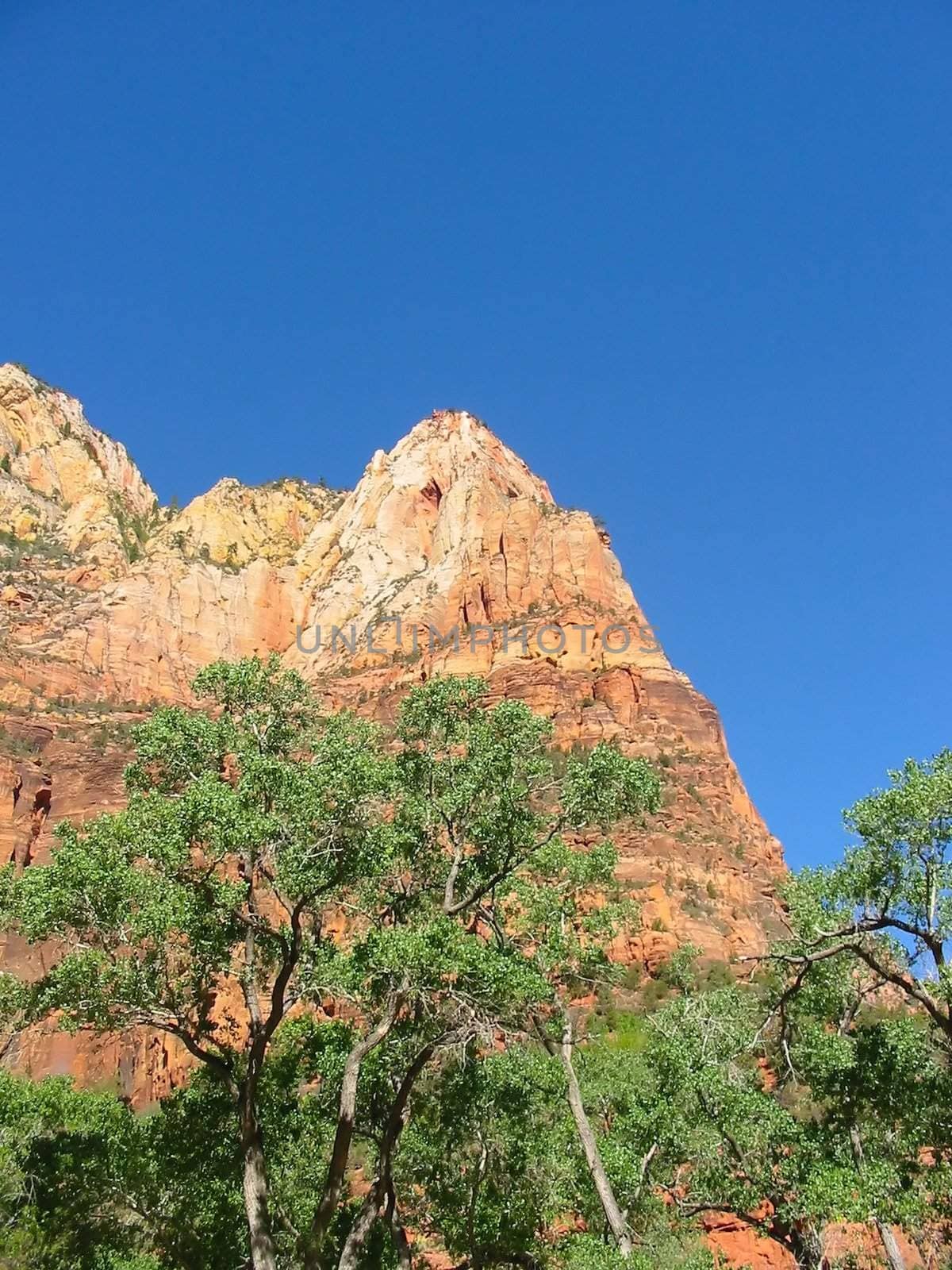 Red Canyon near Zion NP in Utah