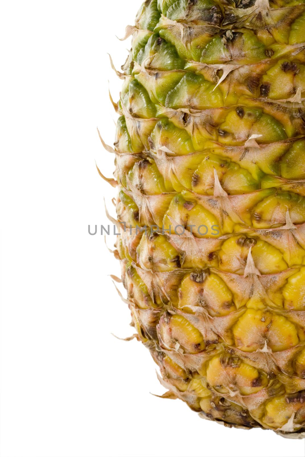 Pineapple by eugenef