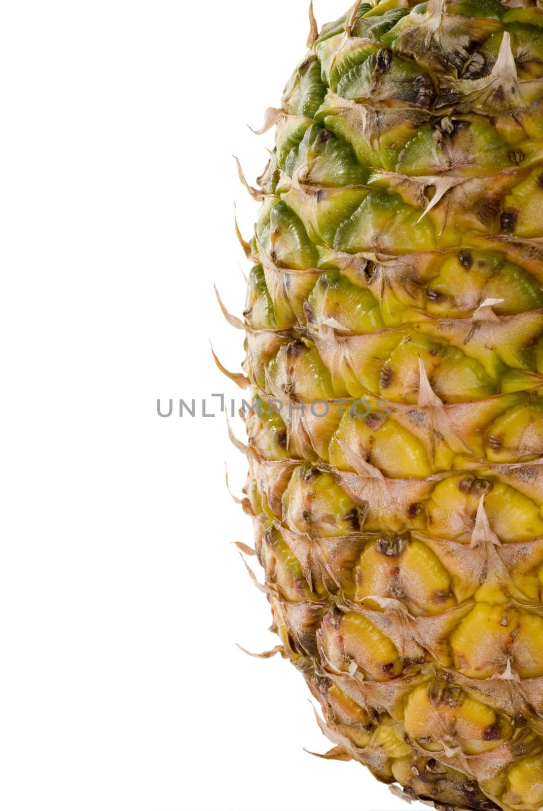 A whole pineapple isolated on a white background.