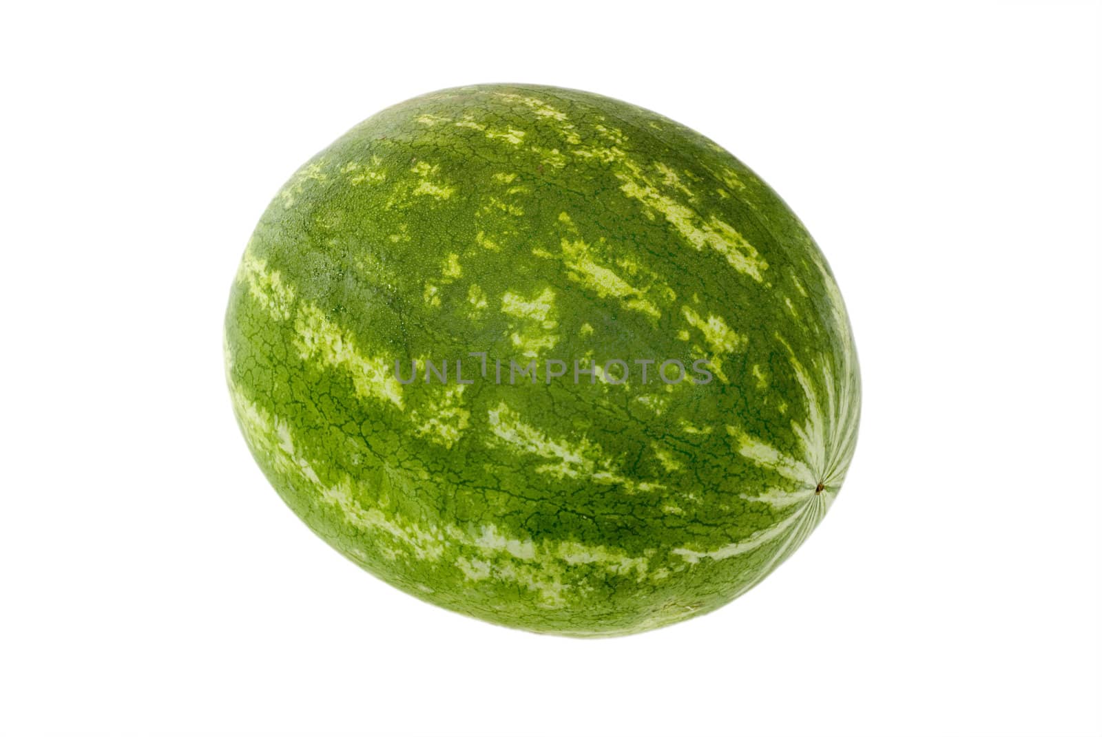A watermelon isolated on white. 