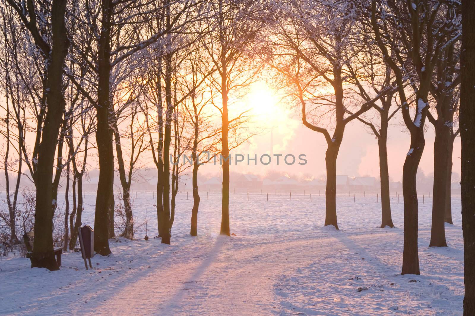 winter sunset by karinclaus