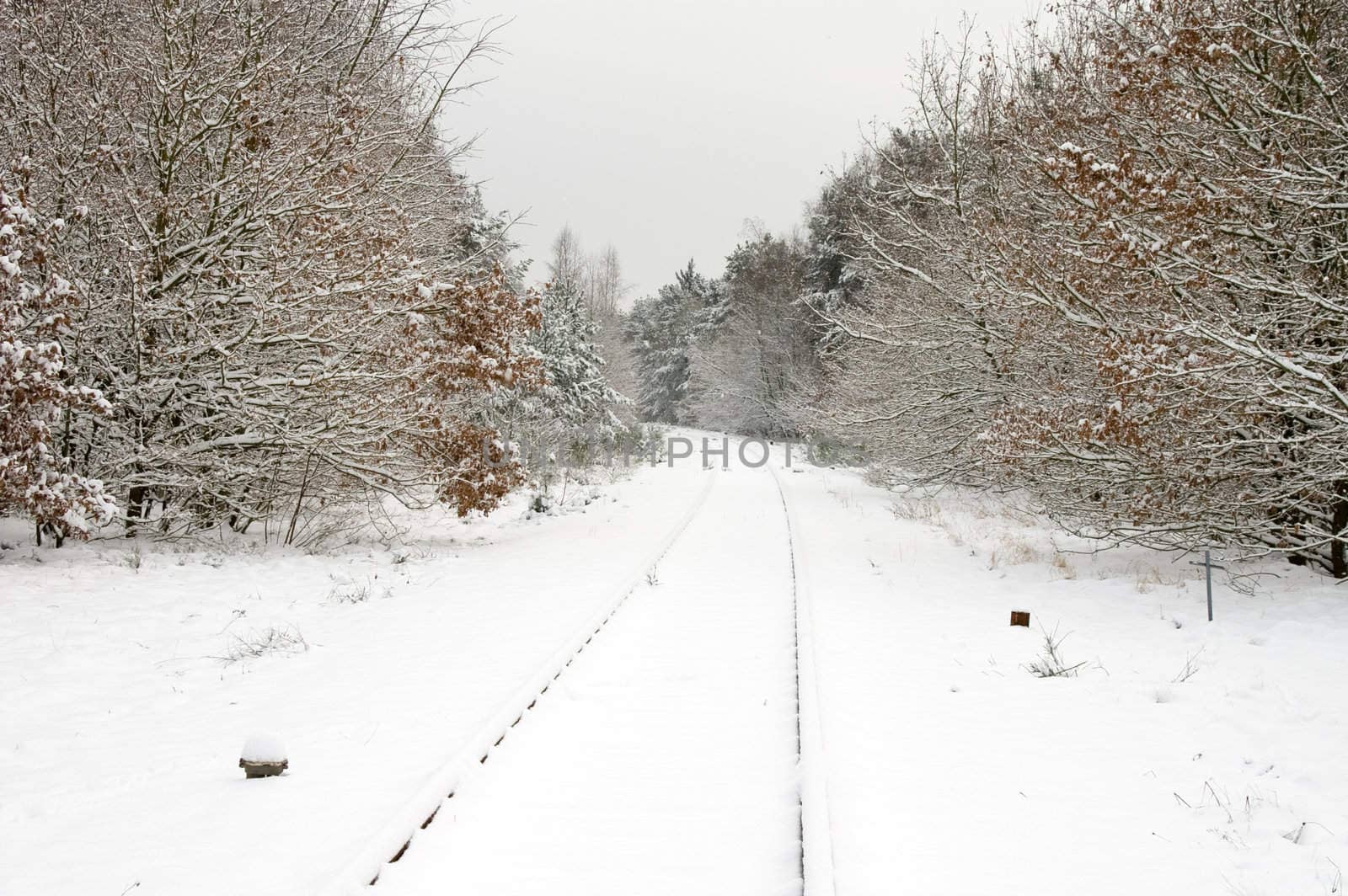 snow landscape on a railway track with forest on the side
