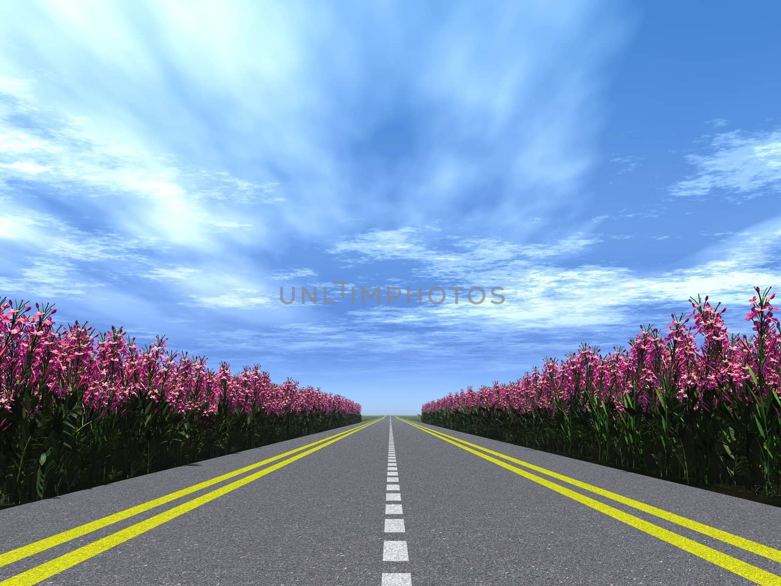 Highway with a marking with blossoming flowers  on a roadside. Brightly blue, not much cloudy sky