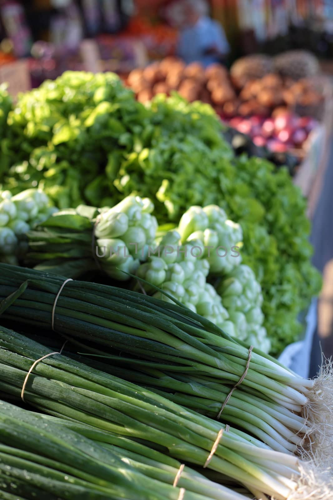 Market stall offering various vegetables.