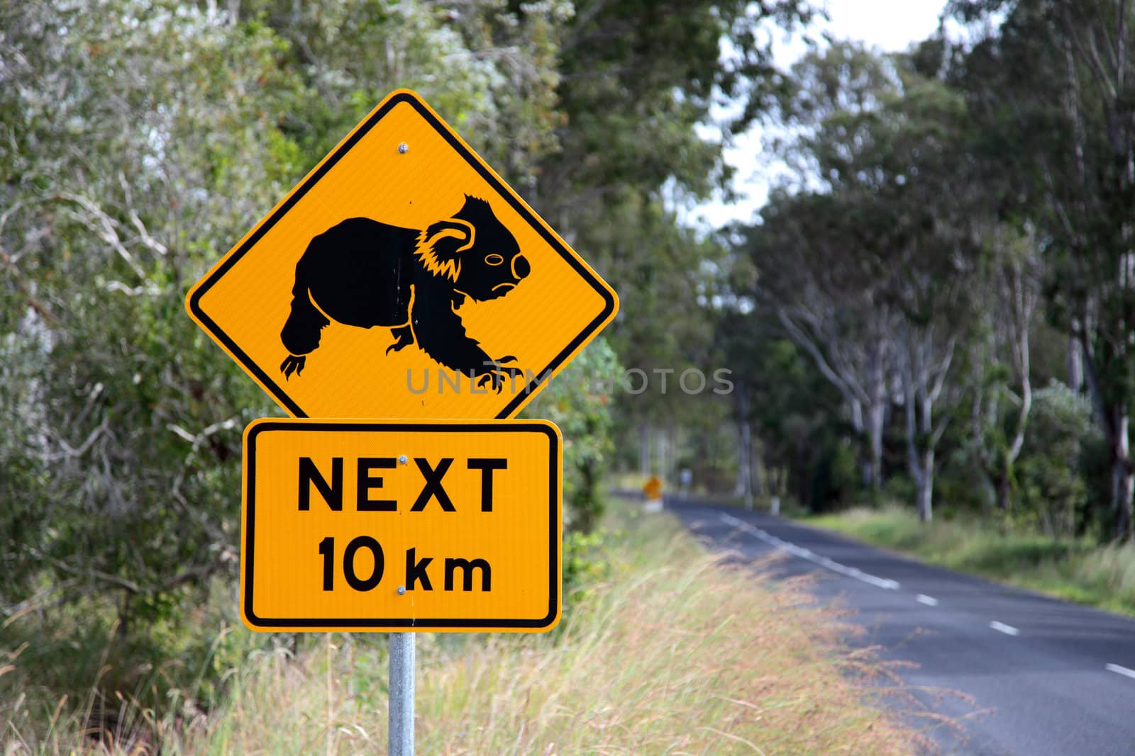 Koala road sign in Eastern Australia.