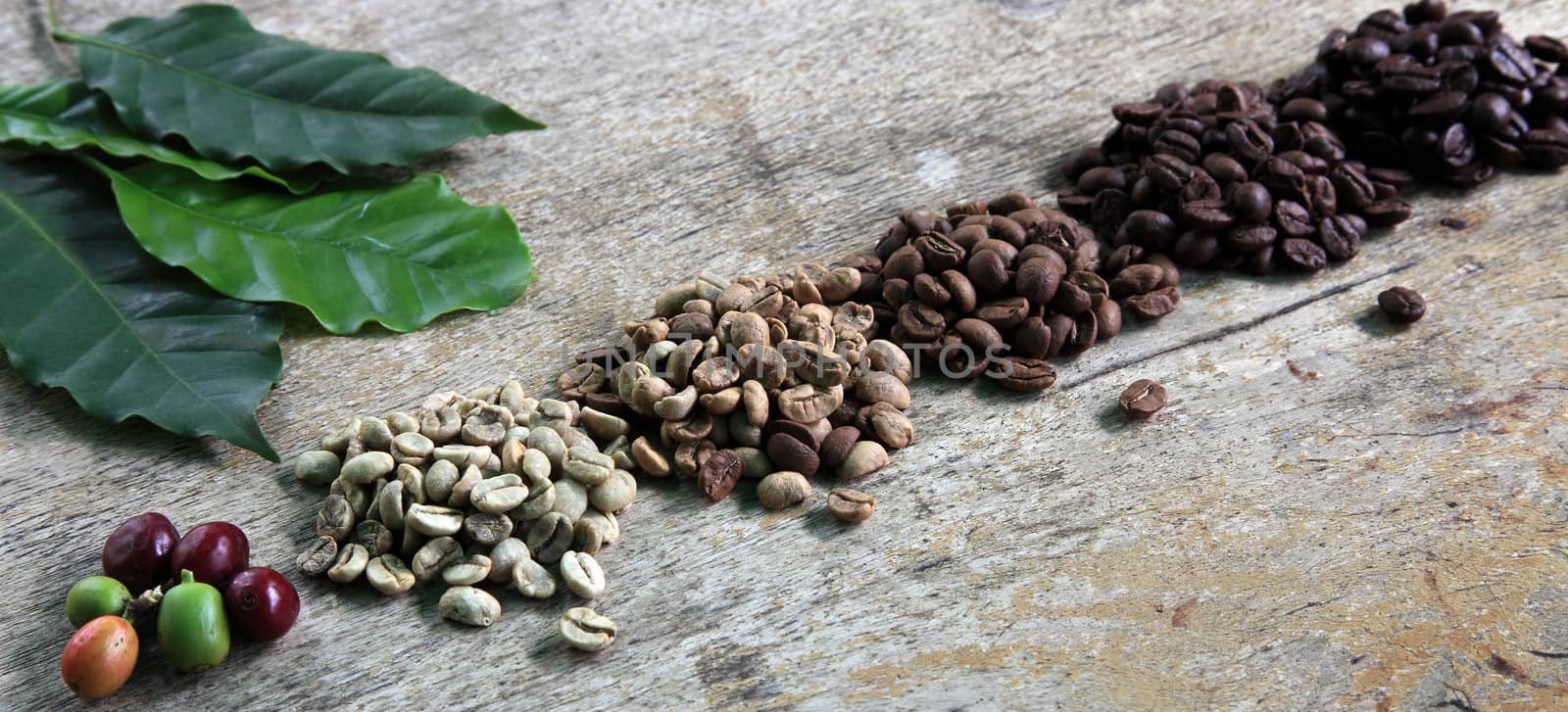 Coffee beans by kaarsten