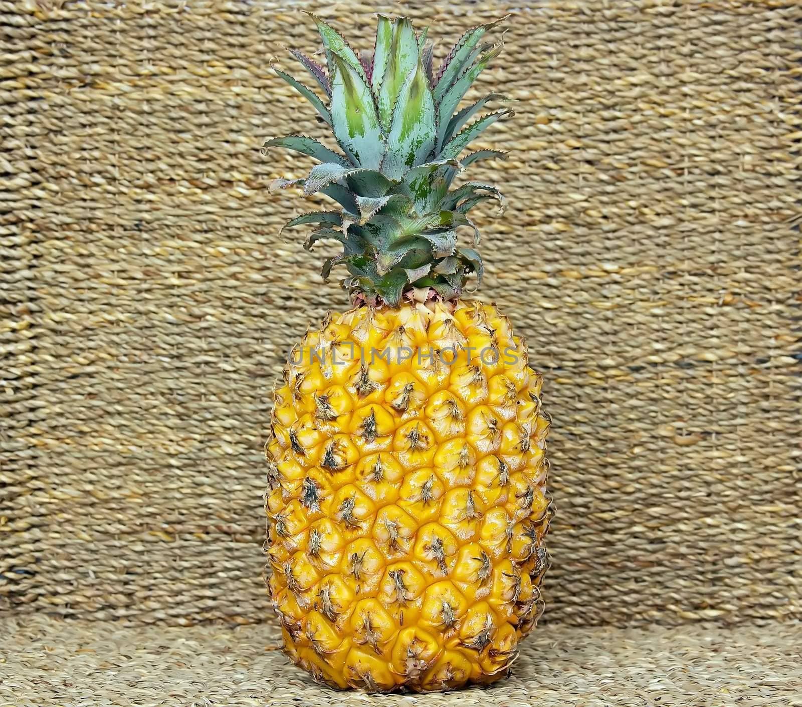pineapple full of sunshine by neko92vl