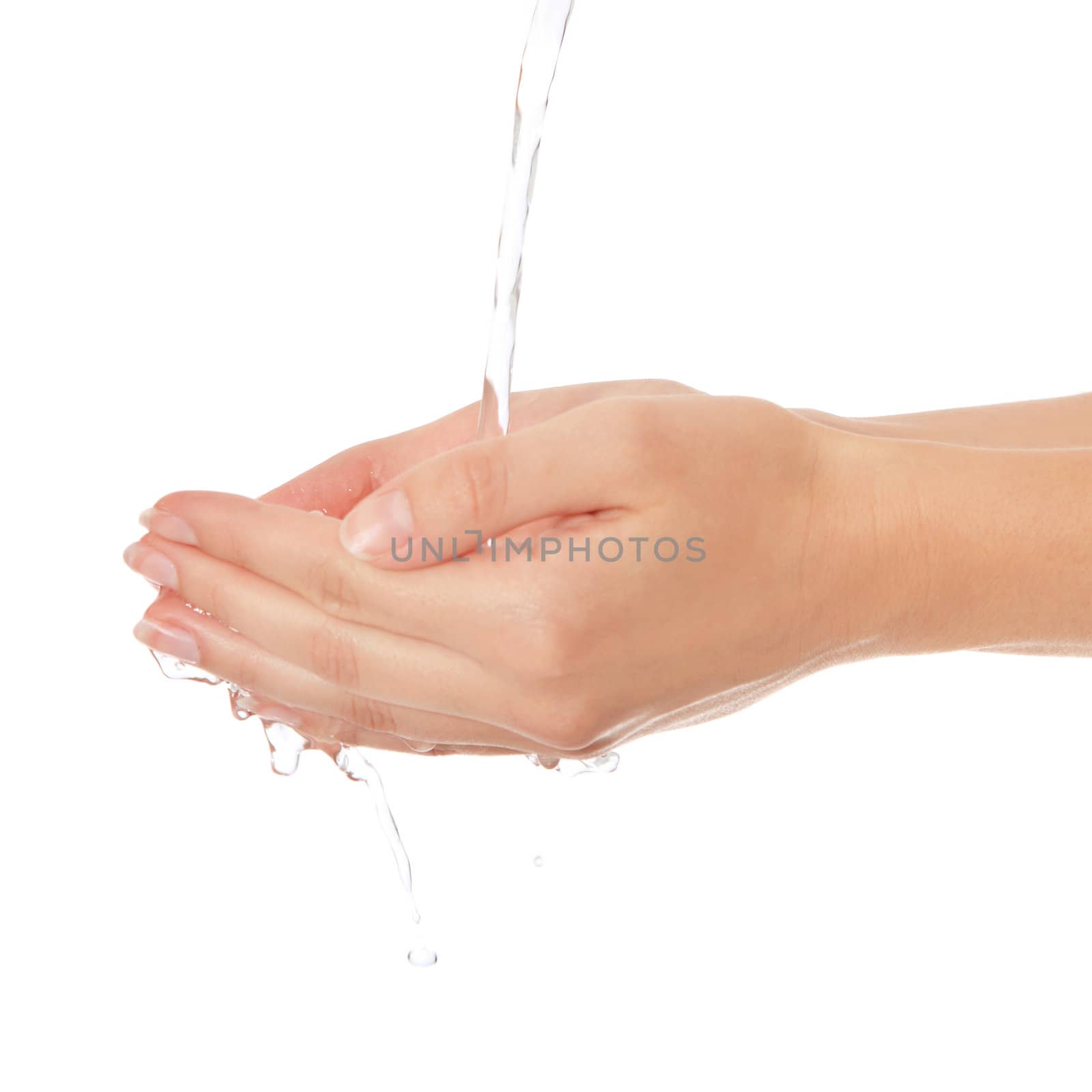 Female person washes her hands. All on white background.