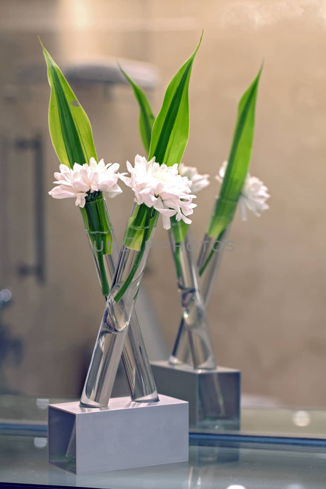 white flower for spa decoration still life