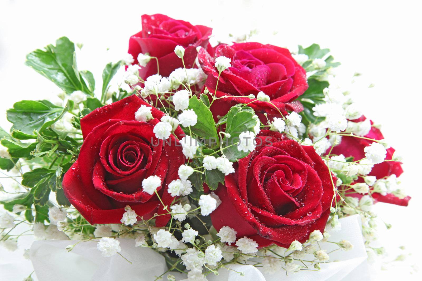 rose bouquet isolated on white using in wedding or any greeting ceremony