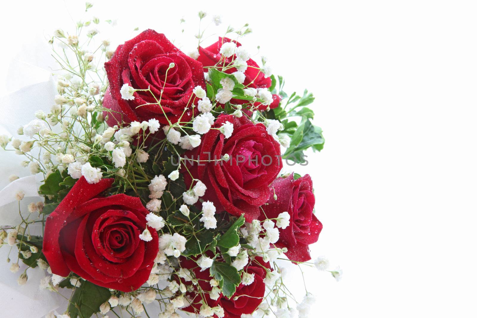 rose bouquet isolated on white using in wedding or any greeting ceremony side perspective
