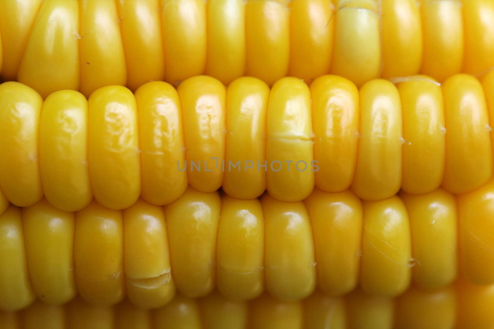 Corn cobs