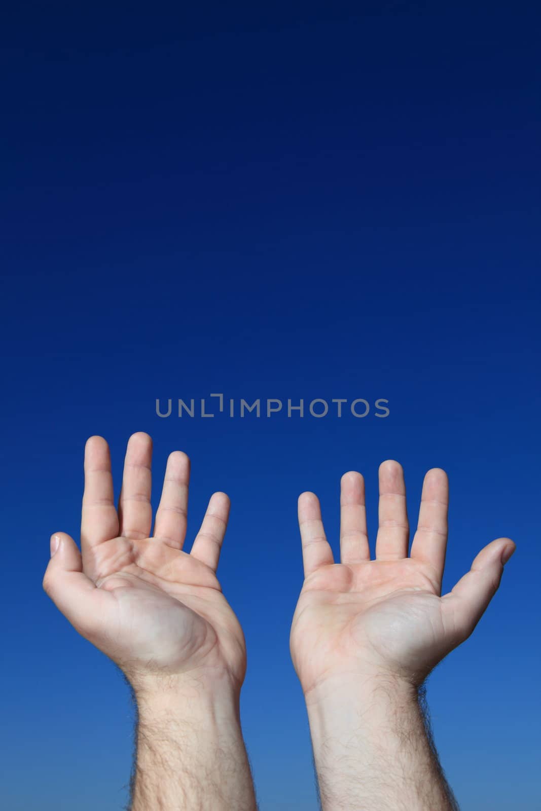 A persons hands praying to the sky.