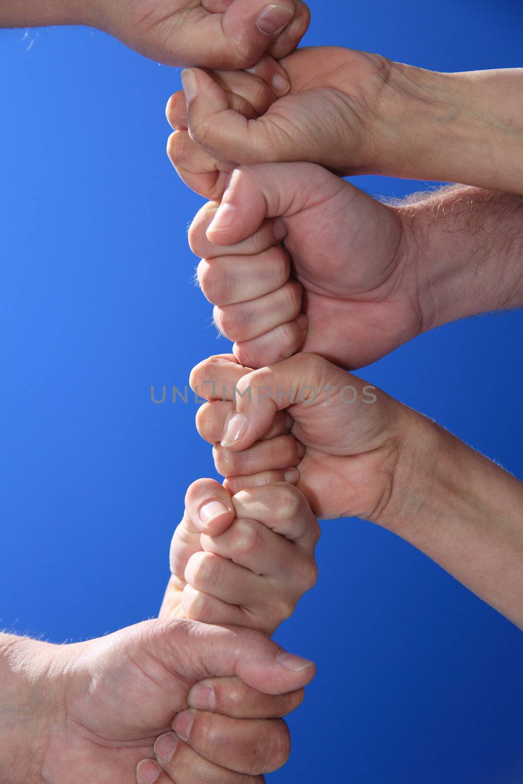 Various peoples hands in front of bright blue sky.