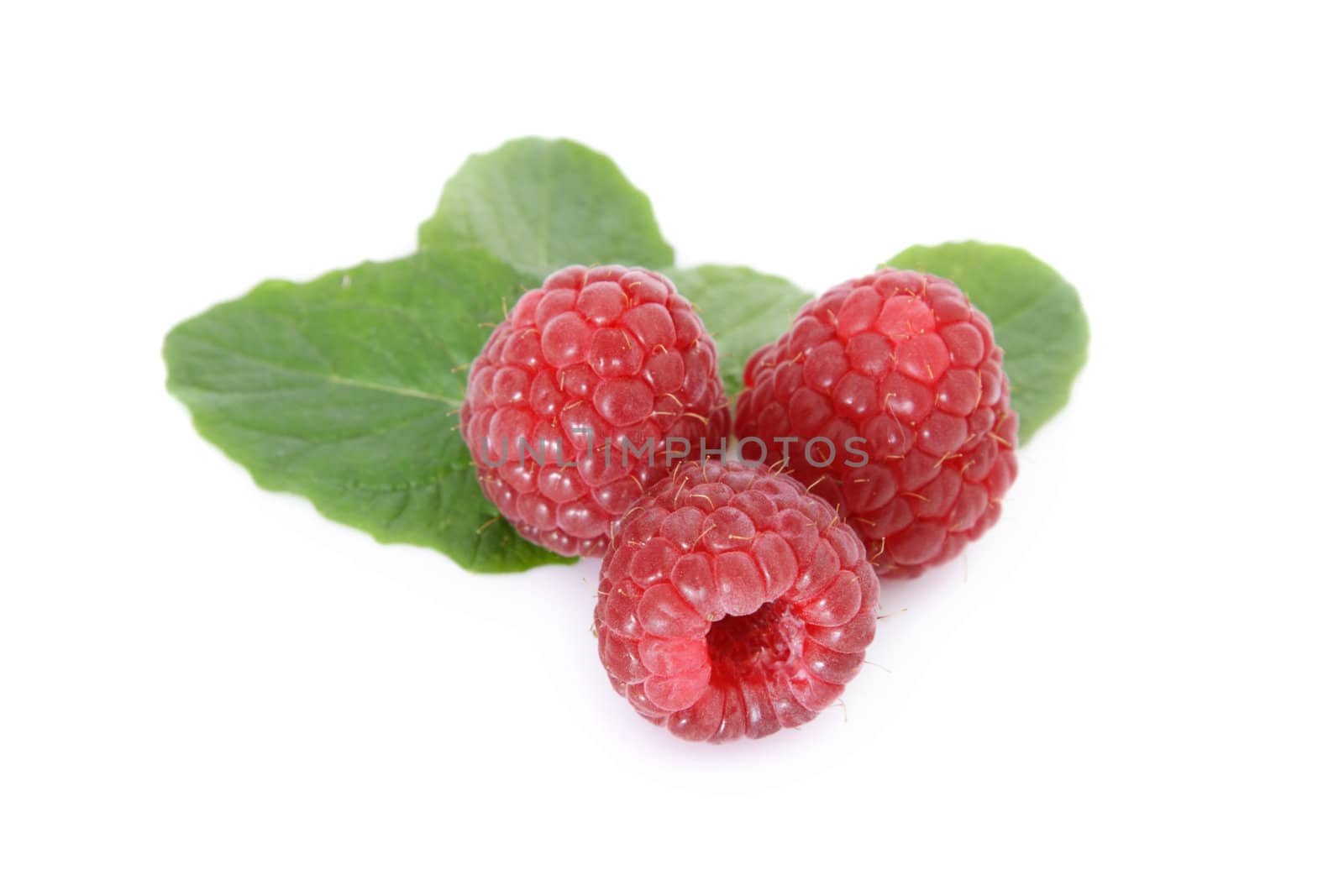 Ripe raspberries on white background.