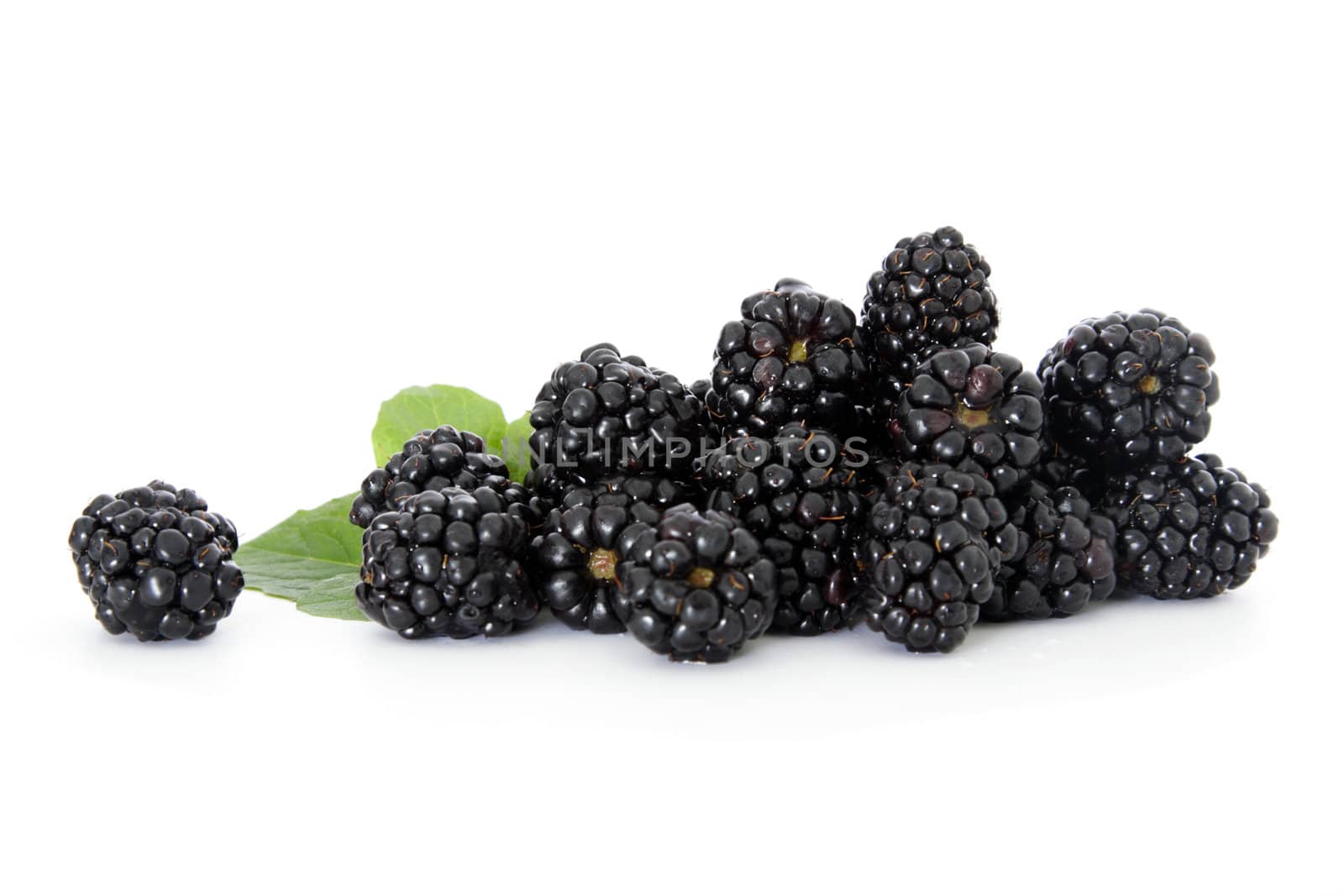 Blackberries on white background.