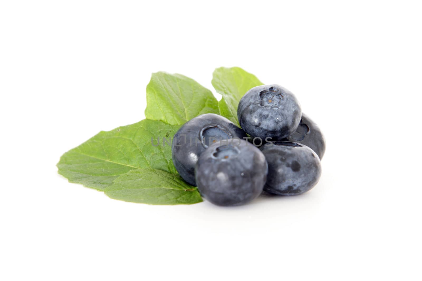 Blueberries by kaarsten