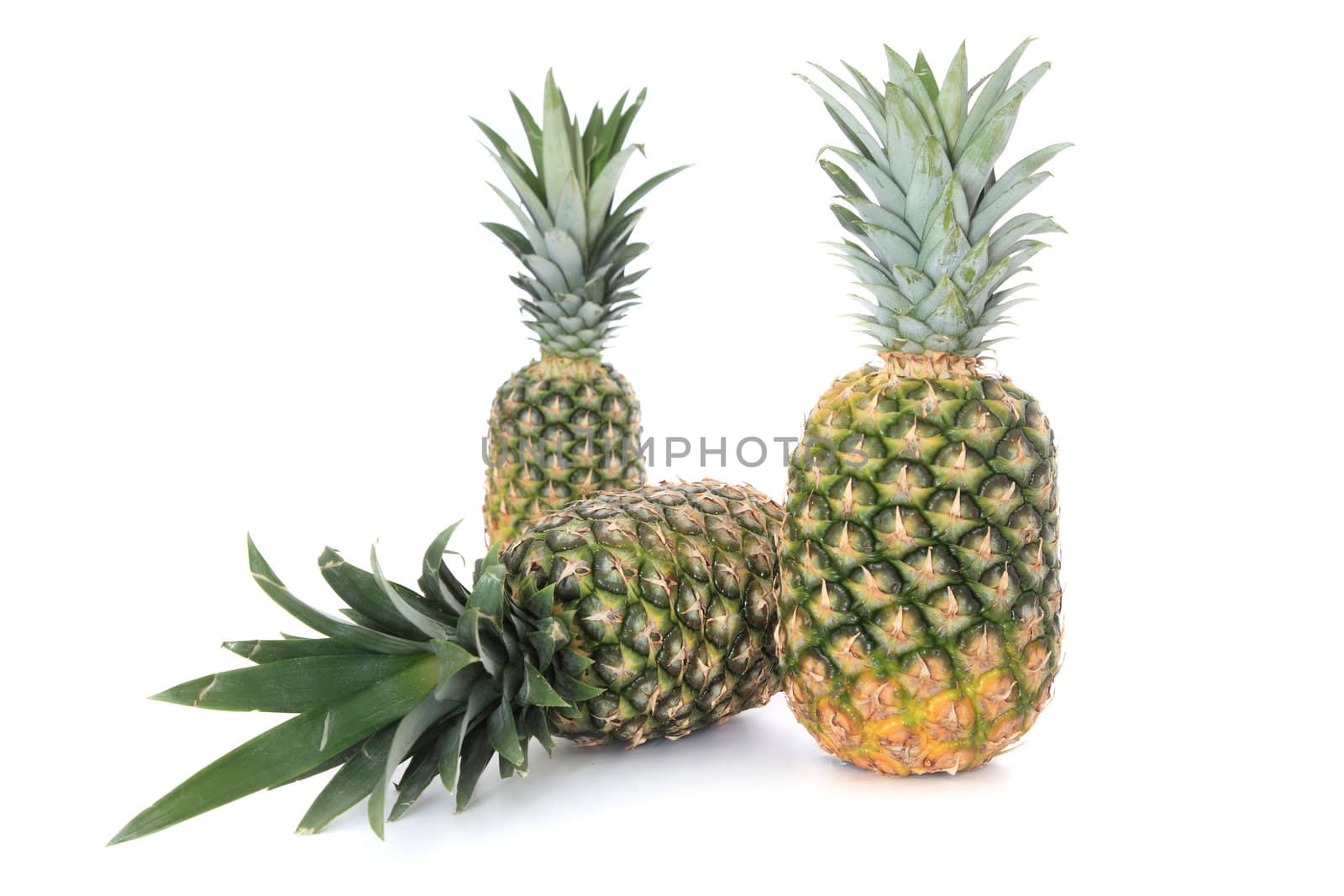 Ripe pineapples on white background.