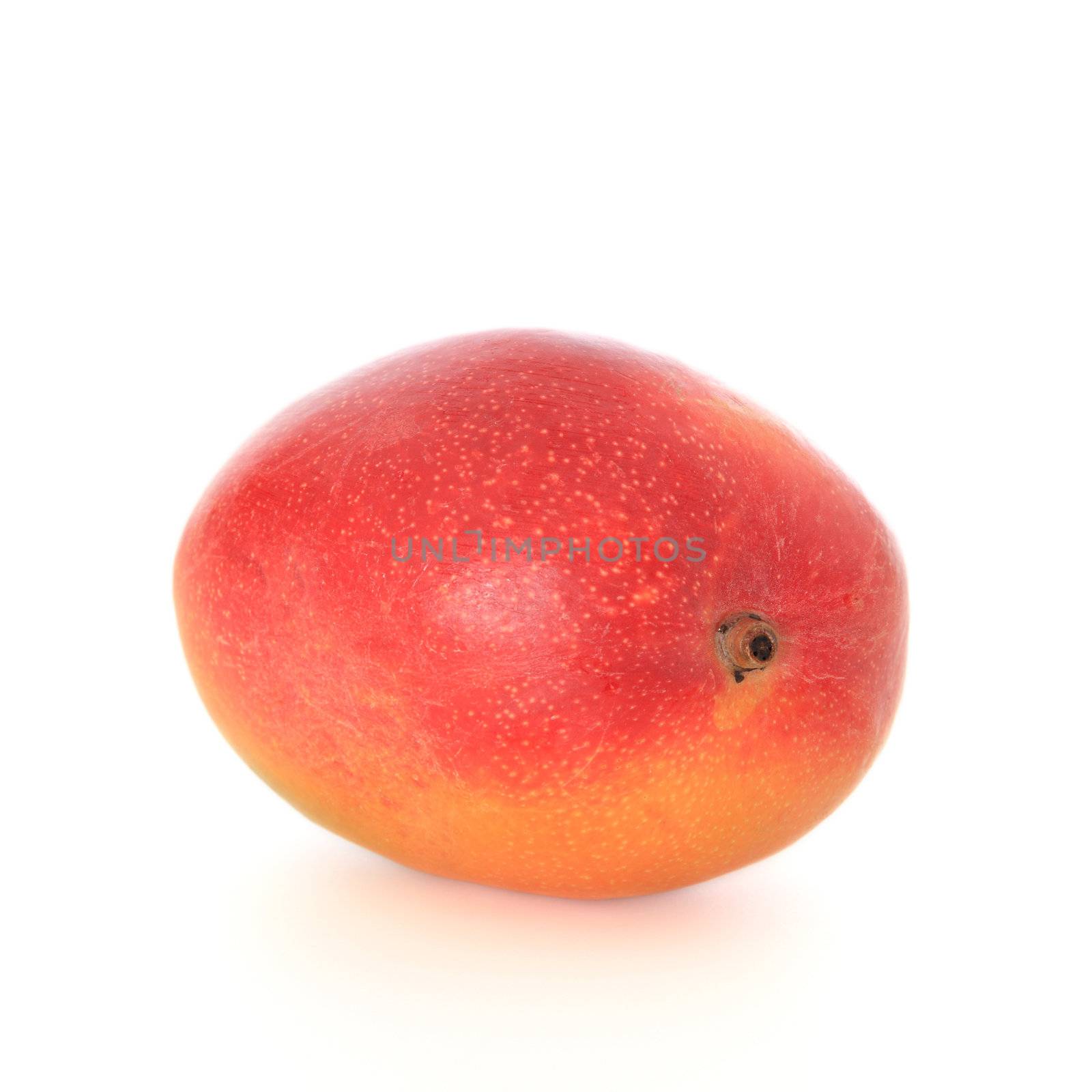 Ripe mango on white background.