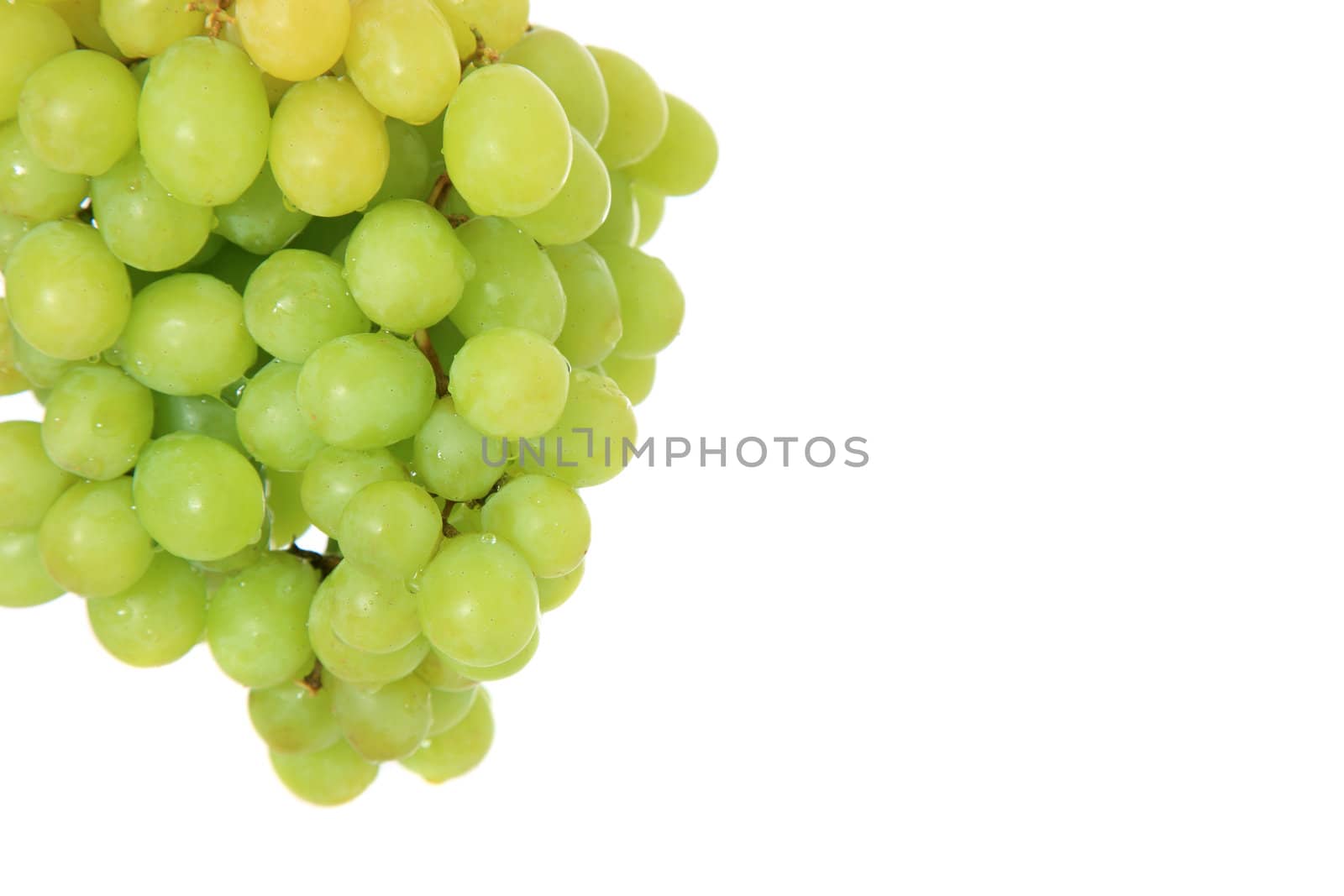 Ripe grapes on white background. Extra text space on the right.