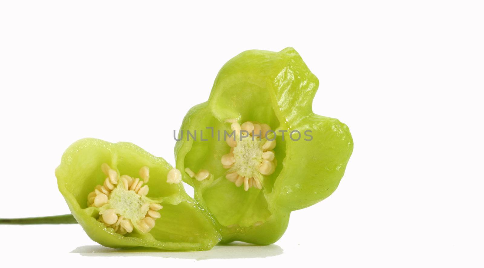 small bell pepper