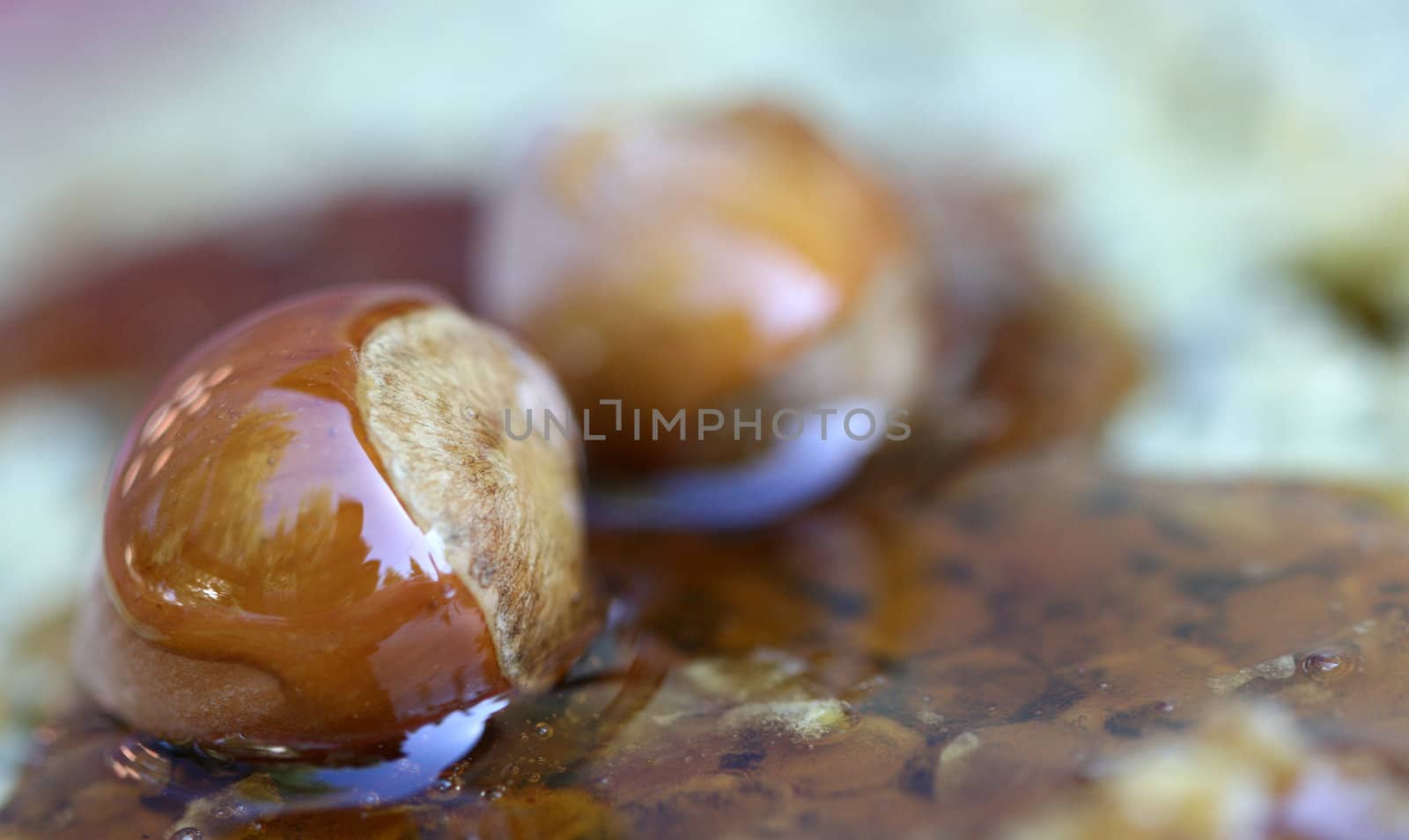 pure organic honey from macedonia and nuts
