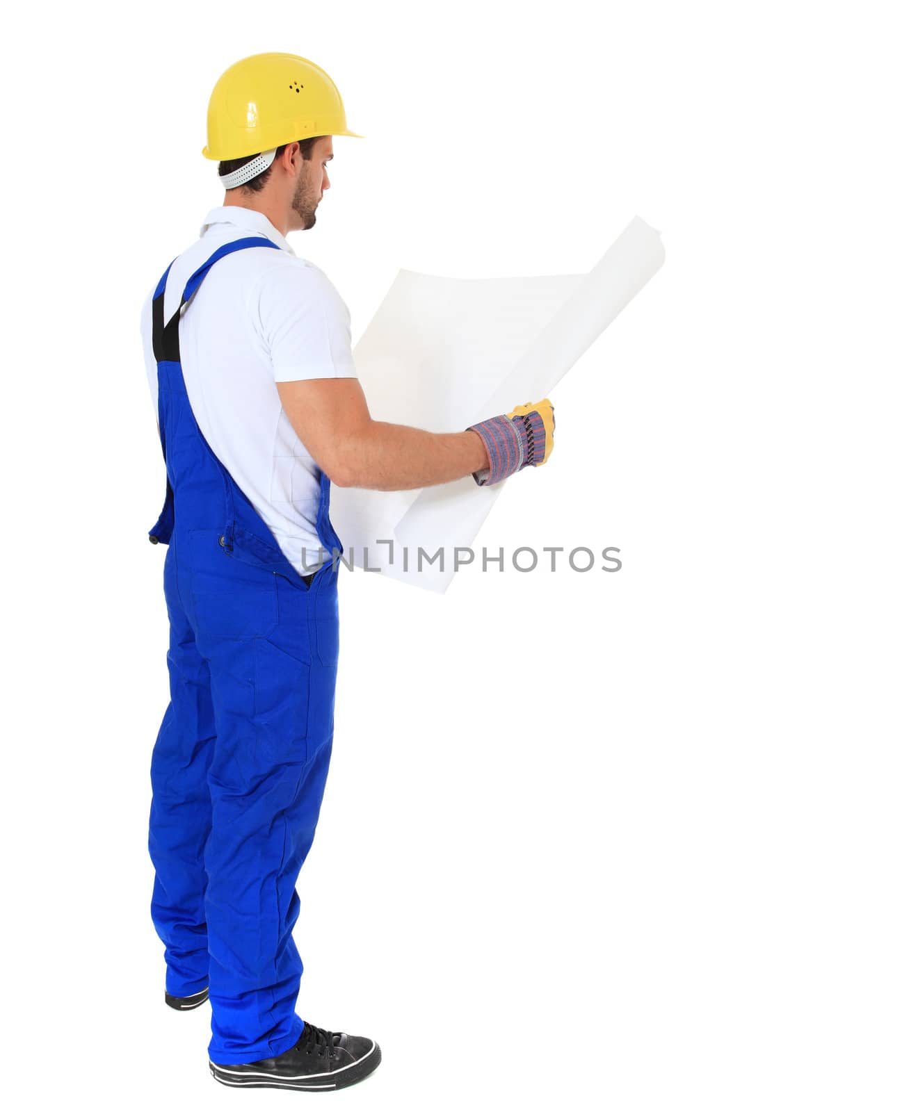 Full length shot of a construction worker studying a construction plan. All on white background.