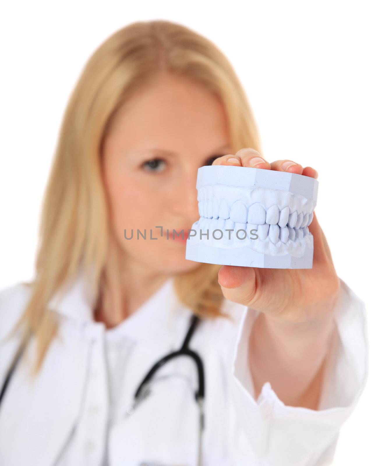 Dentist checking plaster cast of teeth. All on white background. Selective focus on teeth in foreground.