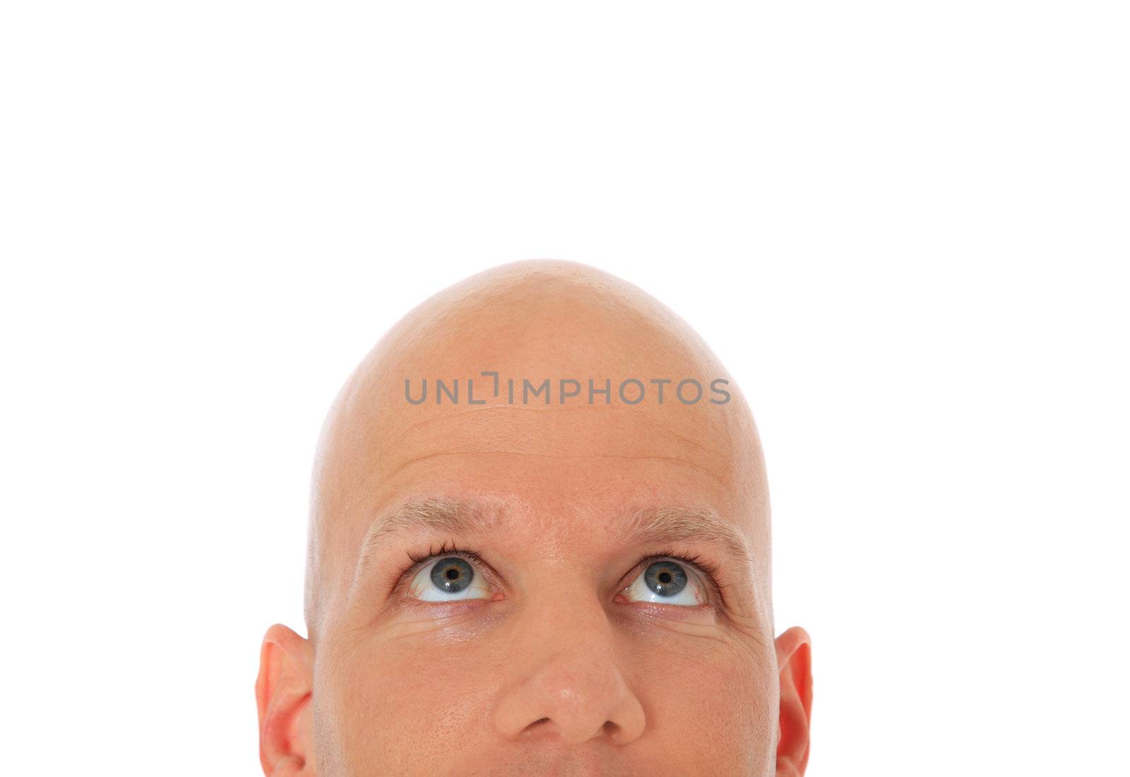 Head of bald man looking up. All on white background.