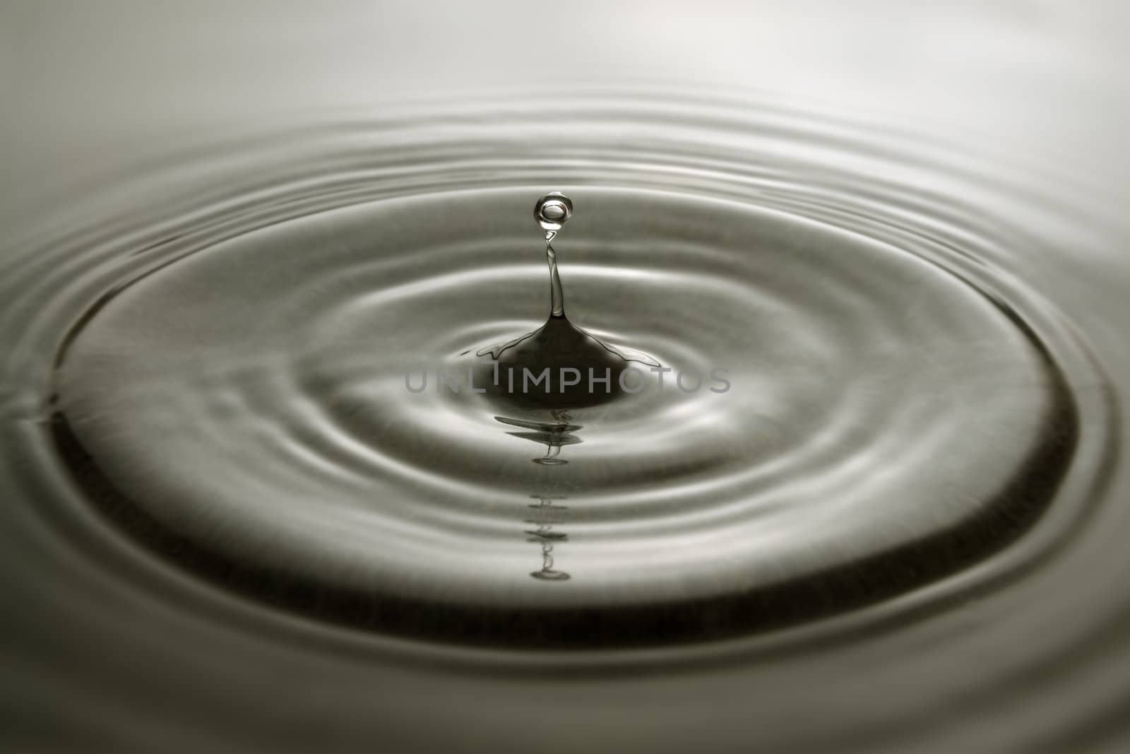 Water droplet and concentric ripples on a grey surface.