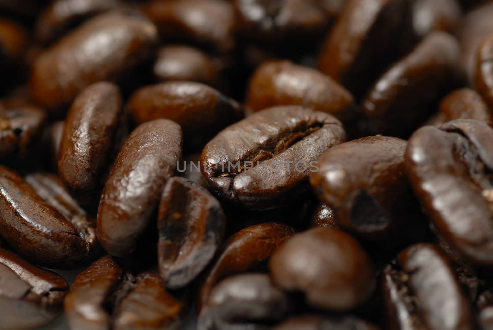 Macro image of caffinated arabica coffee beans.