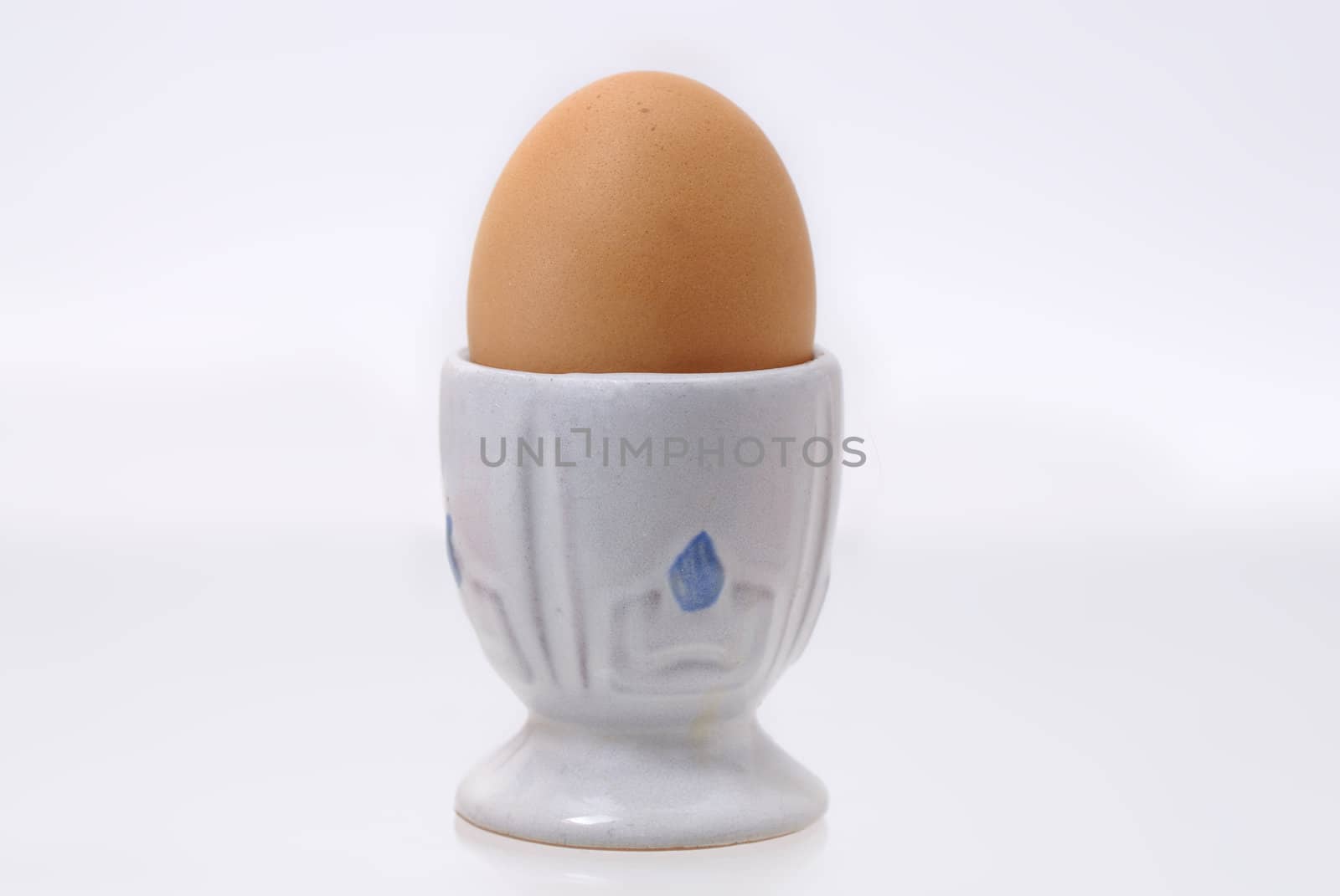 One egg in an egg cup agains white background.