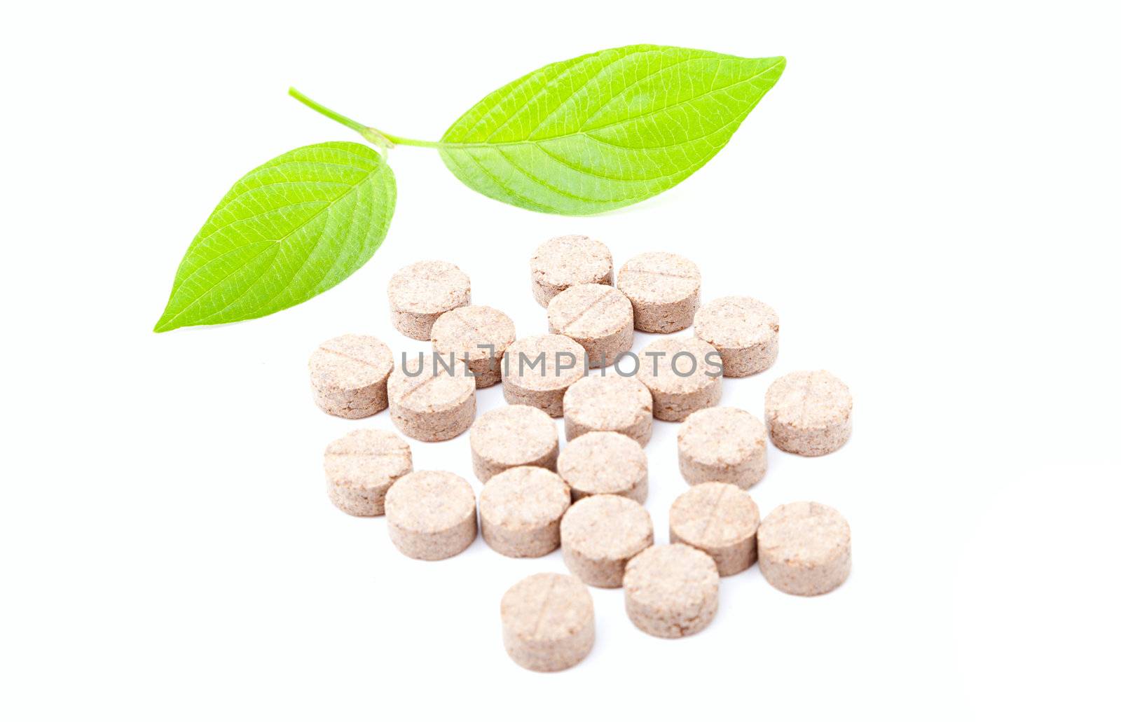 Pills with green leaf isolated on a white background. Herbal Medicine. 