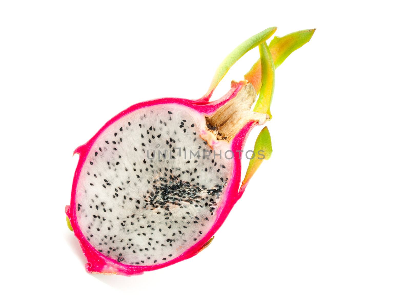 dragon fruit on white background 