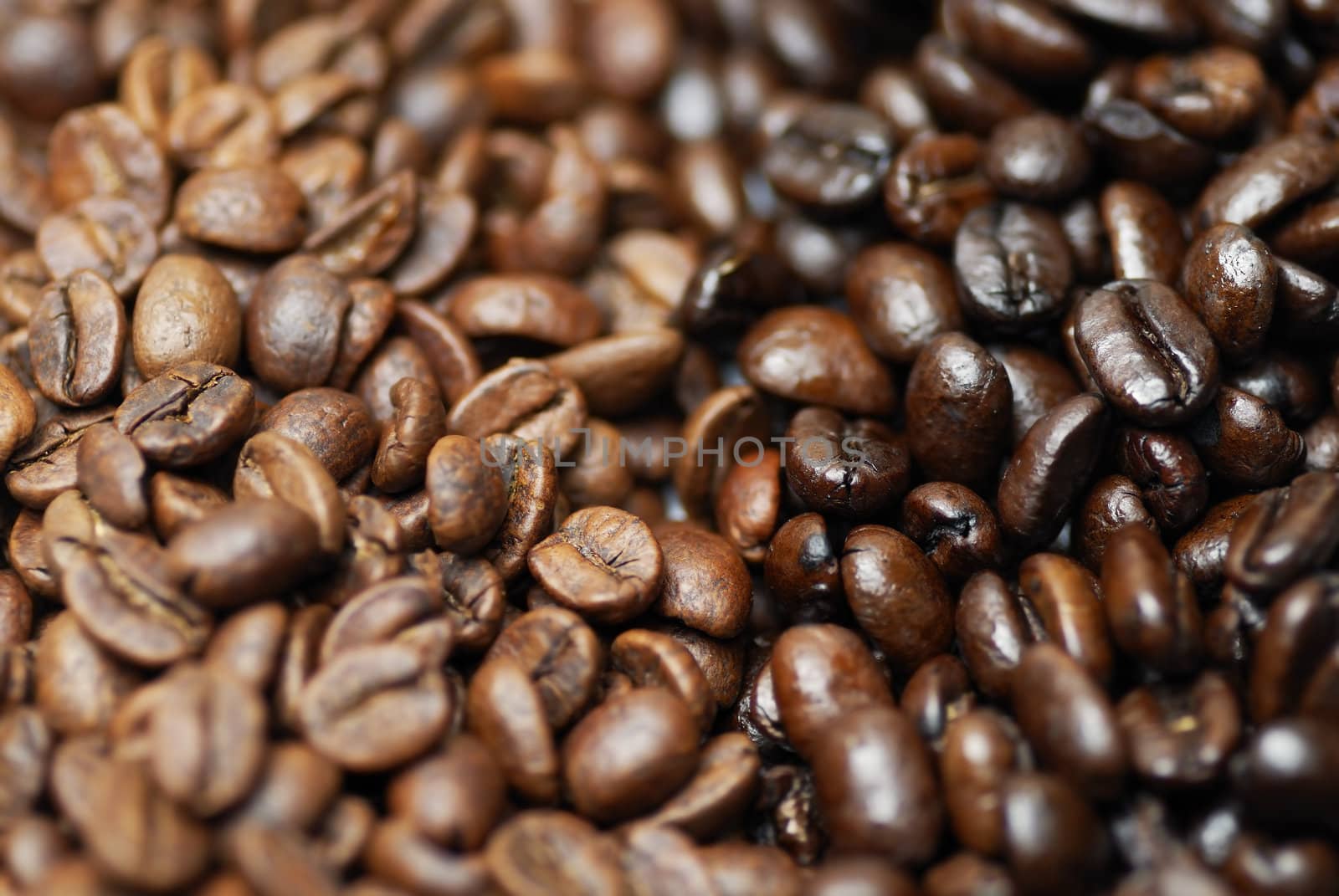 Decaffinated and caffinated coffee beans piled next to each other.