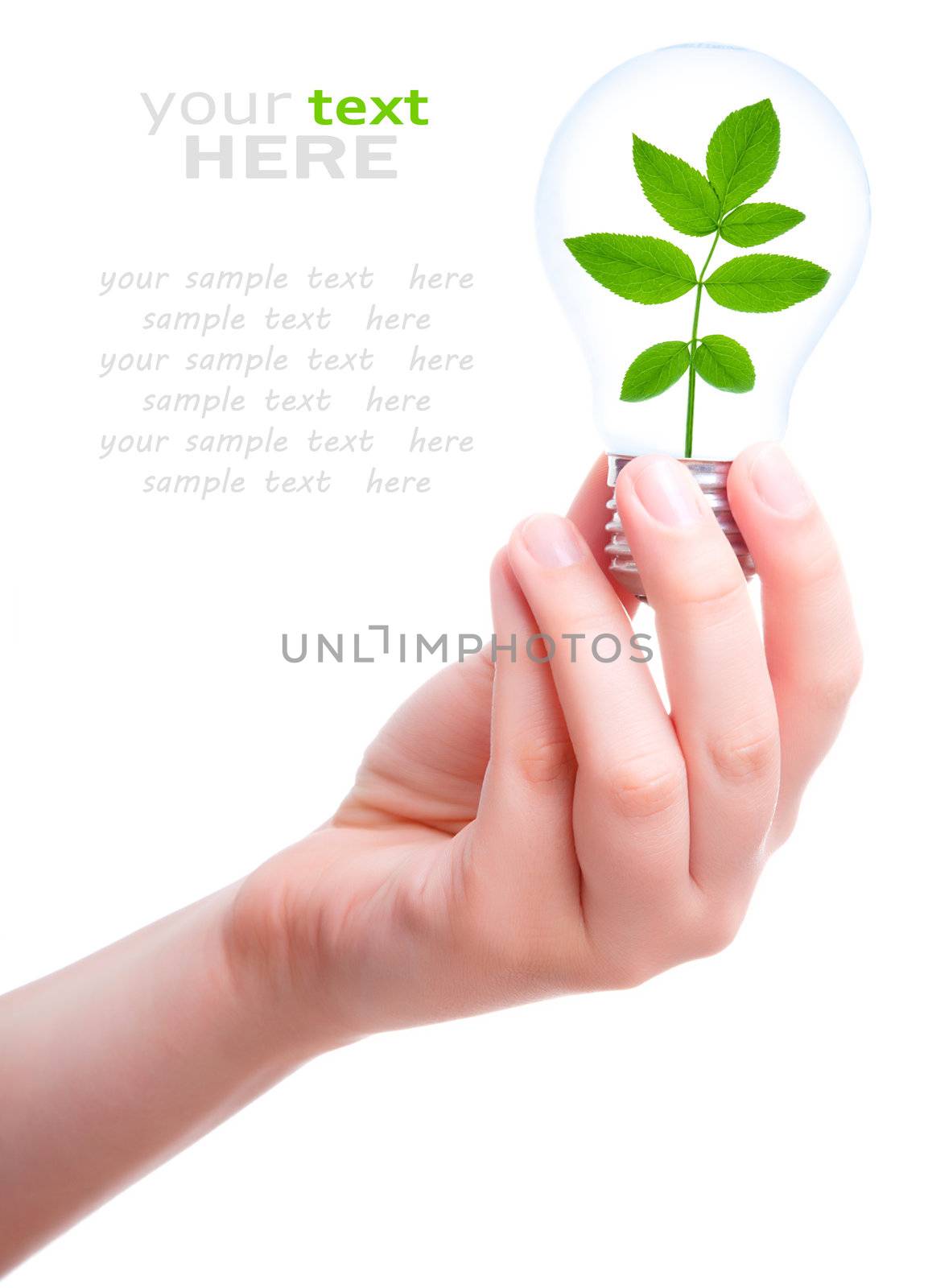 Hand with lamp and plant isolated on white background. eco conce by motorolka