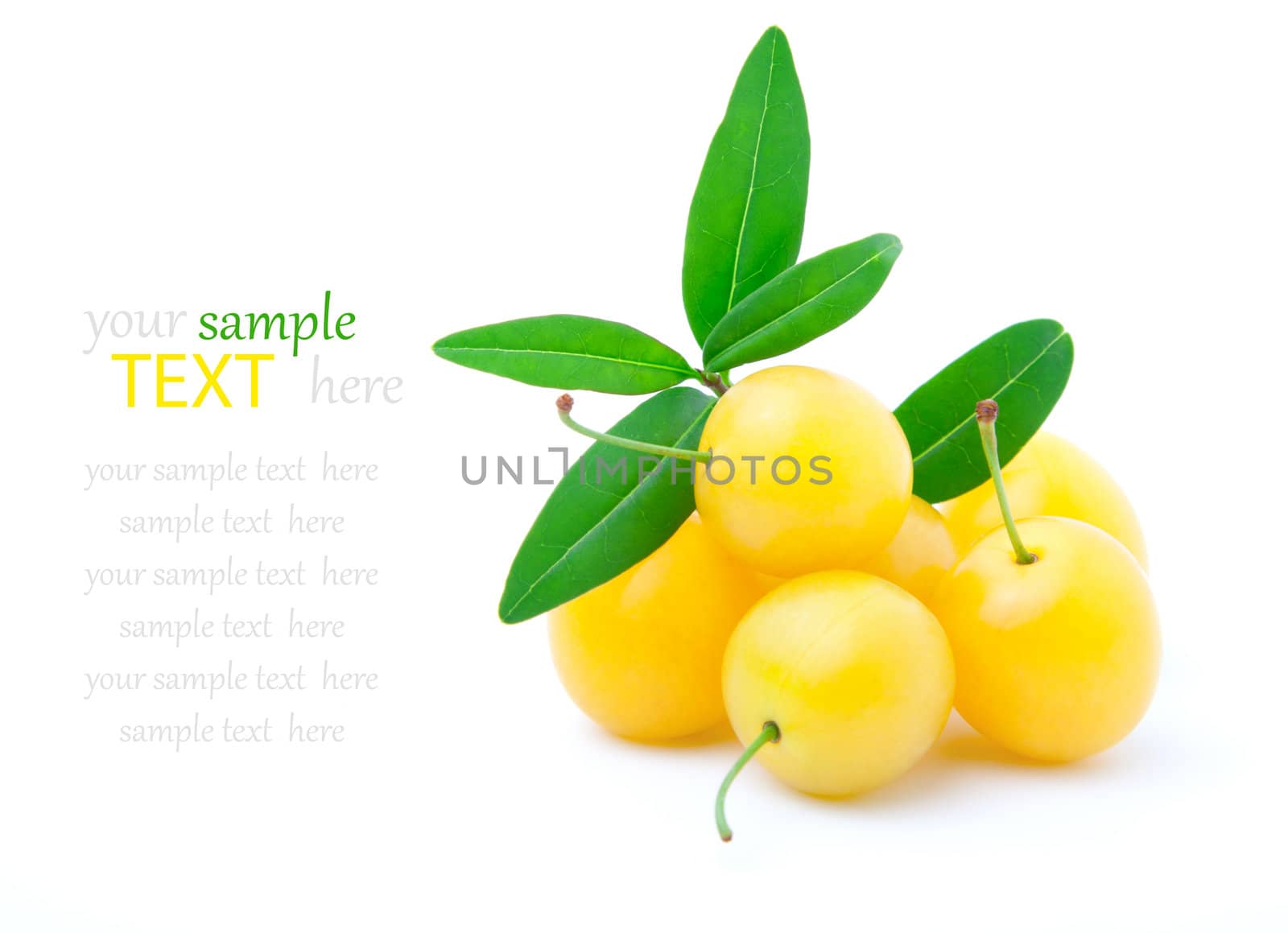 Young cherry-plum isolated on white background 