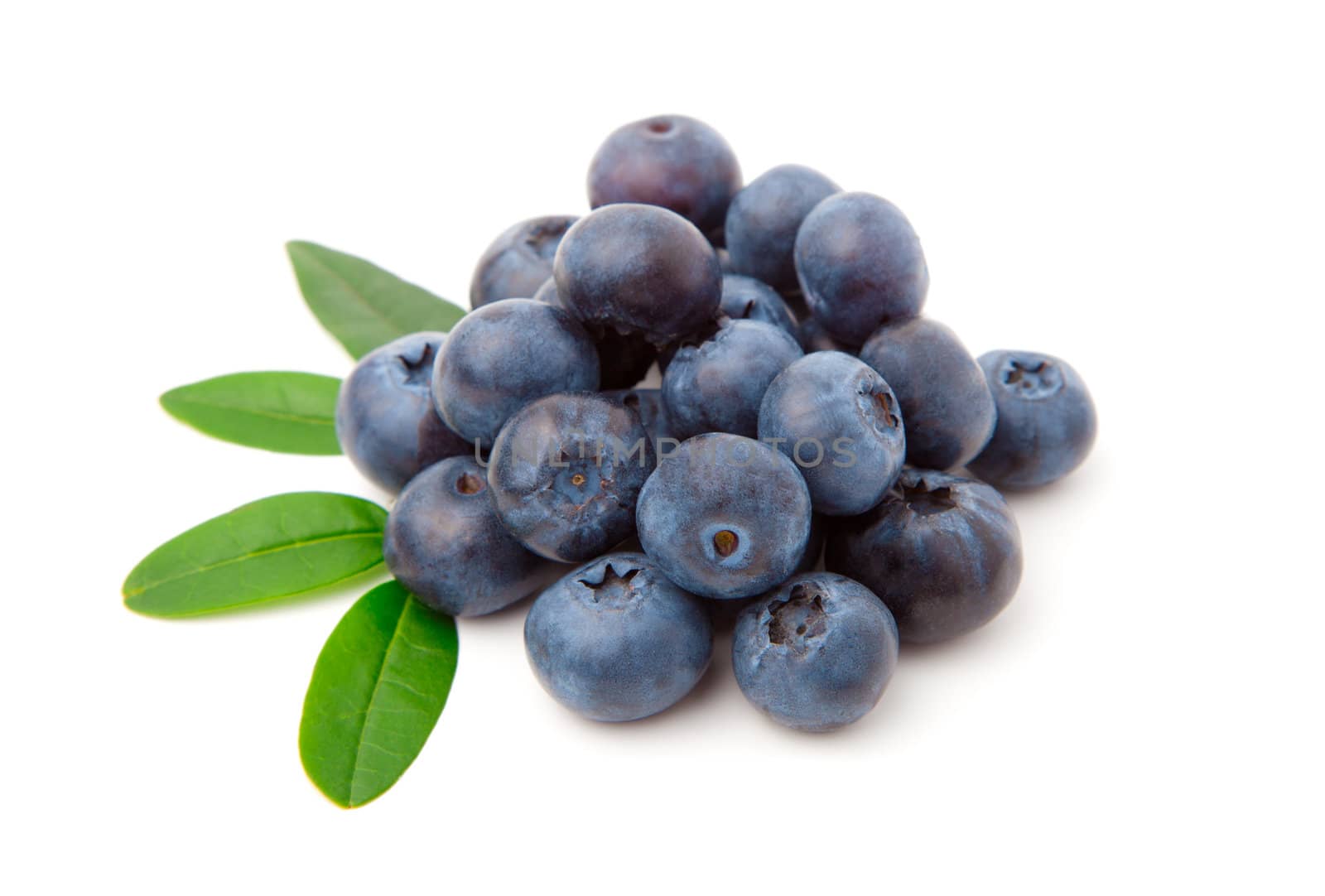 Blueberries with green leaves isolated on white background 